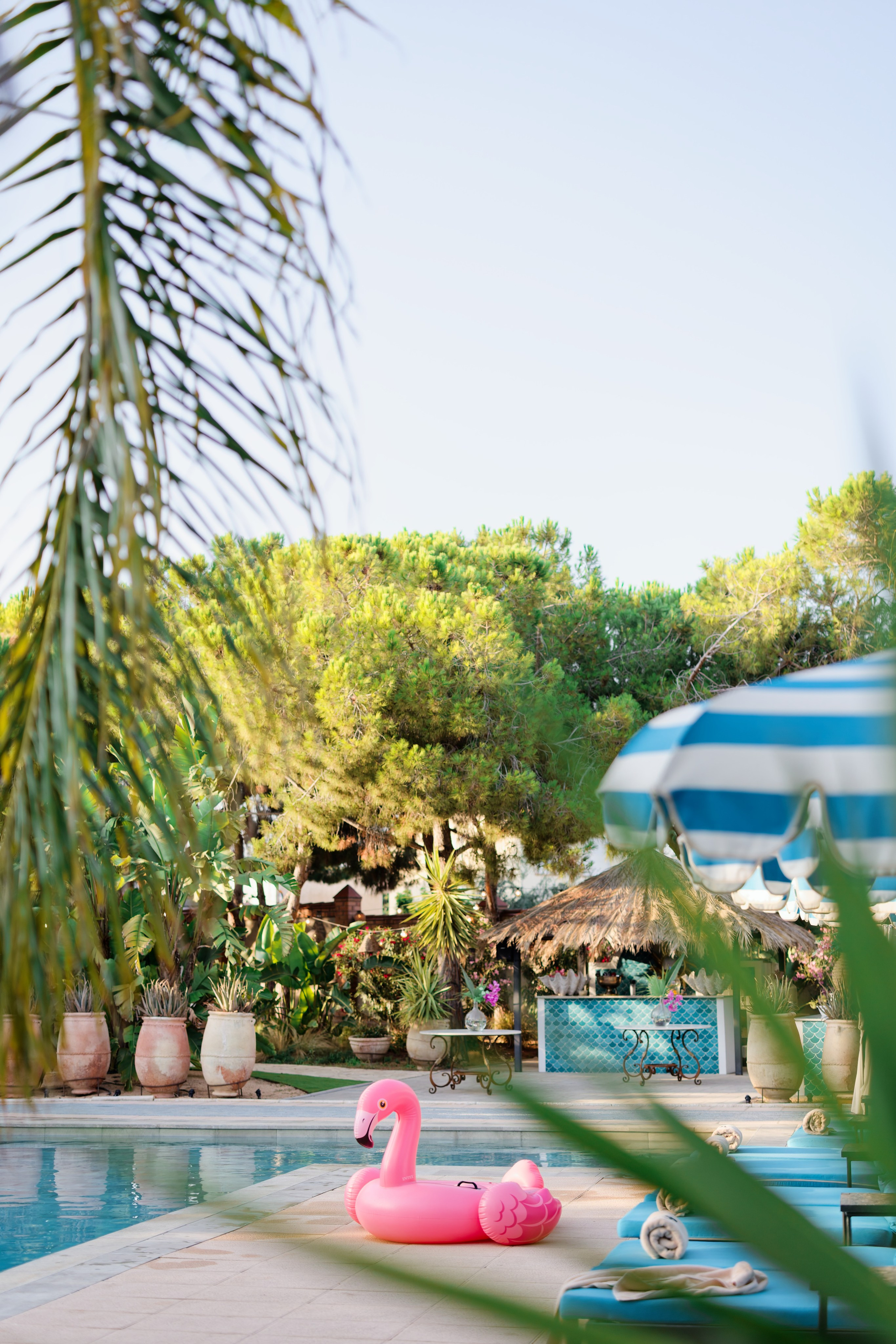 Haldi Ceremony & Mehndi Night & pre-wedding dinner, Barcelona