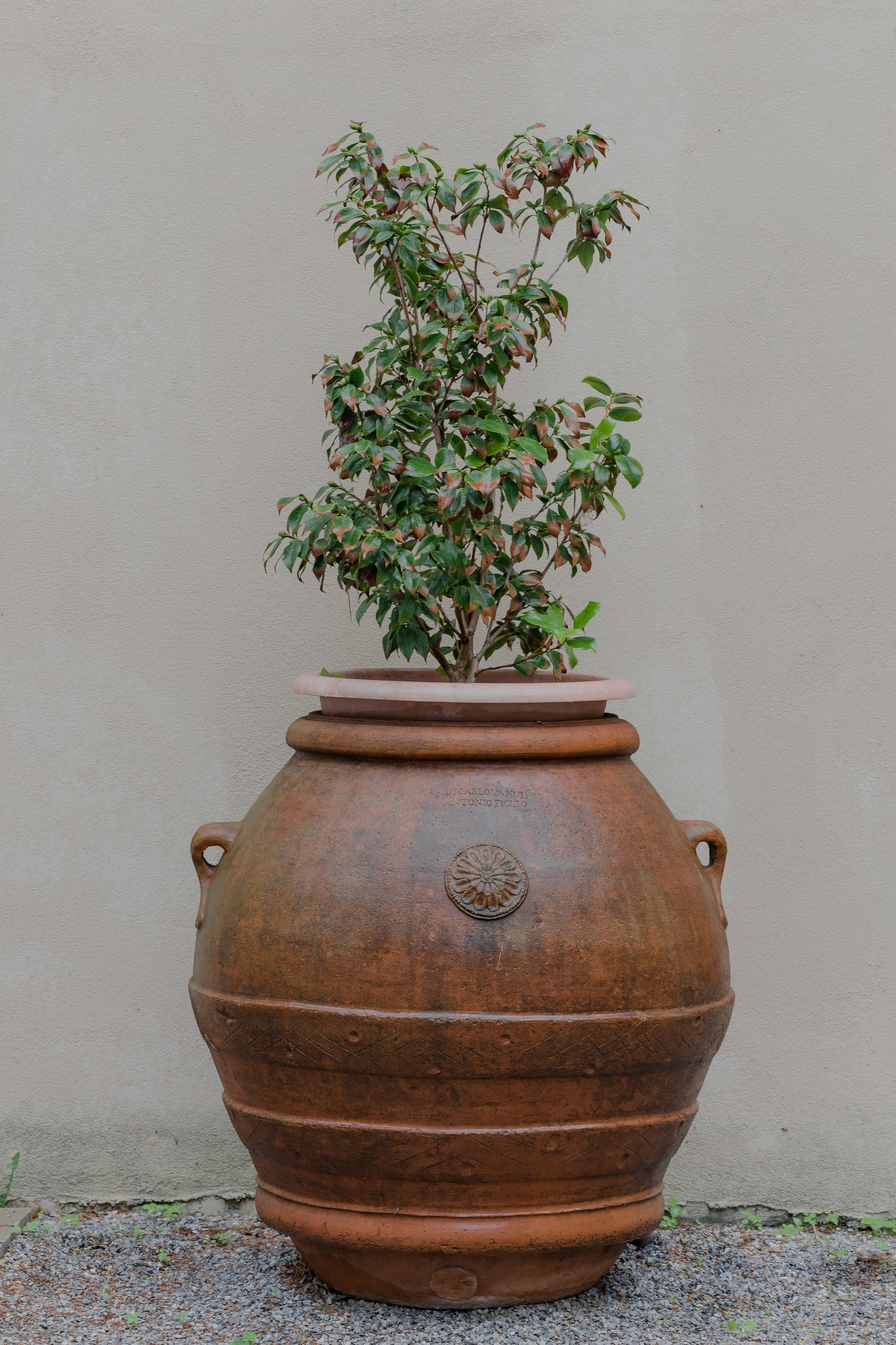 Ekateryna&David wedding in Tuscany. Весільний фотограф Вікторія Саврук