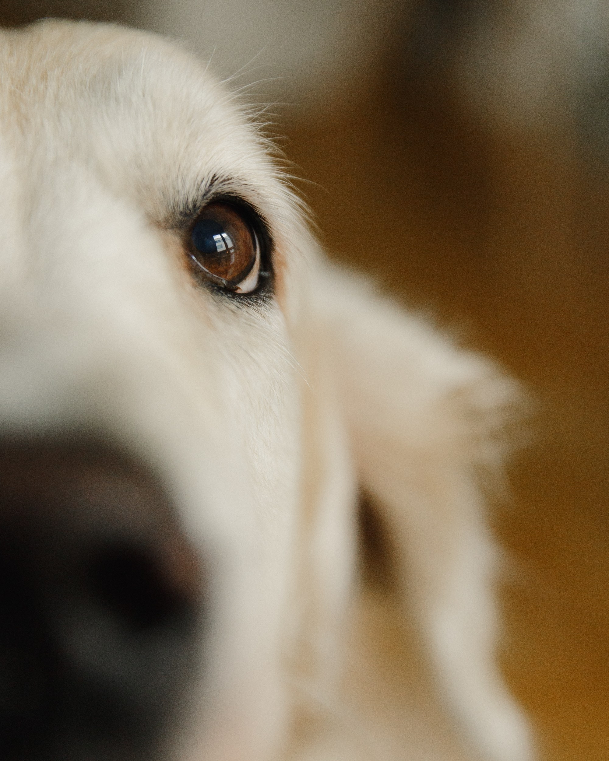 Candles | insta content. Kaja | fotograf we Wrocławiu | ludzie i psy