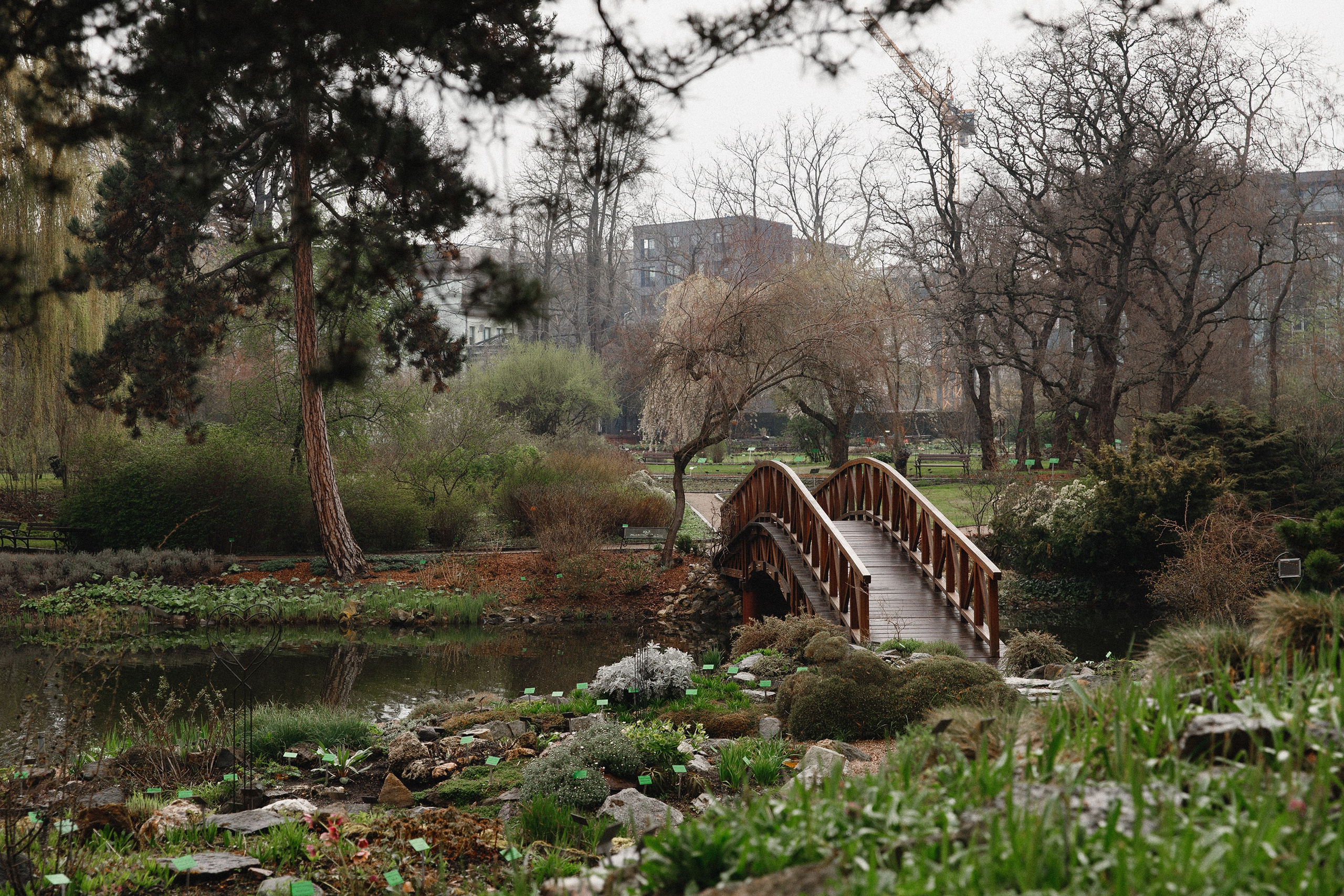 Botanical garden in Wroclaw. Kaja | fotograf we Wrocławiu | ludzie i psy