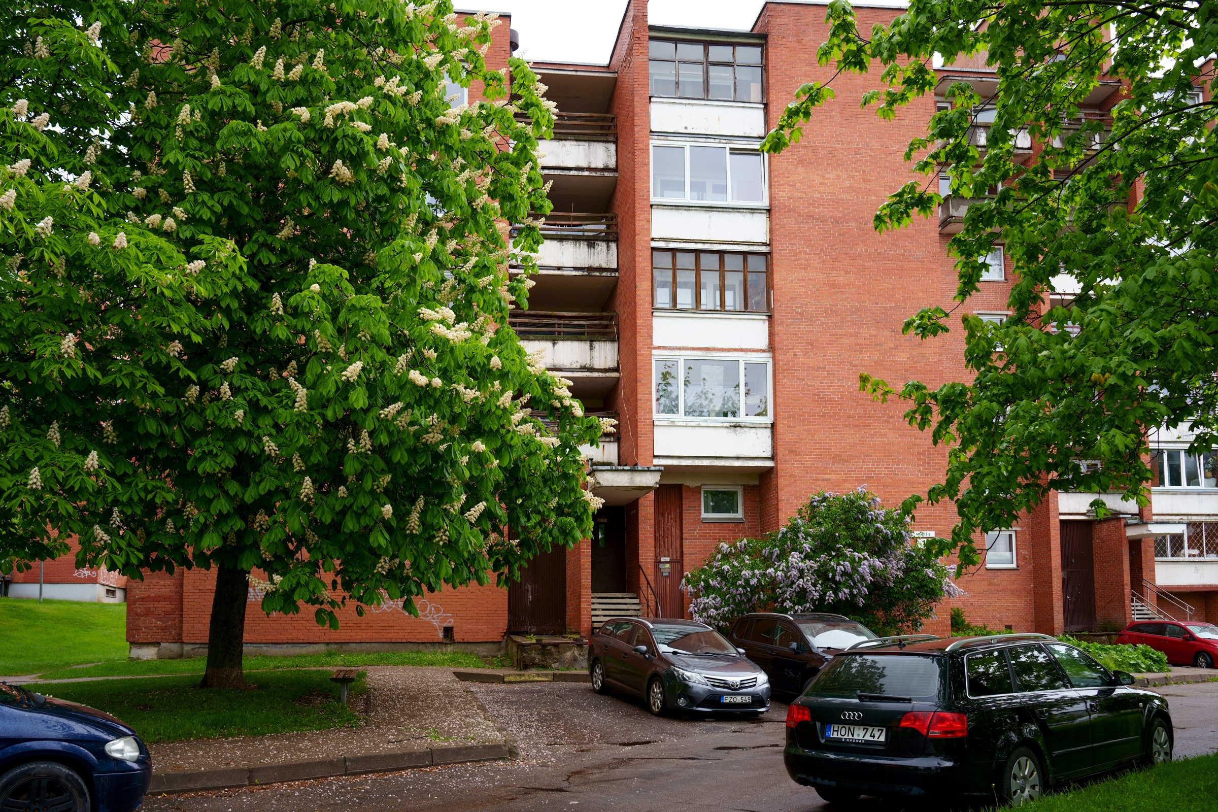 Ateities g. 1. Elina Sapiega fotografė Vilniuje