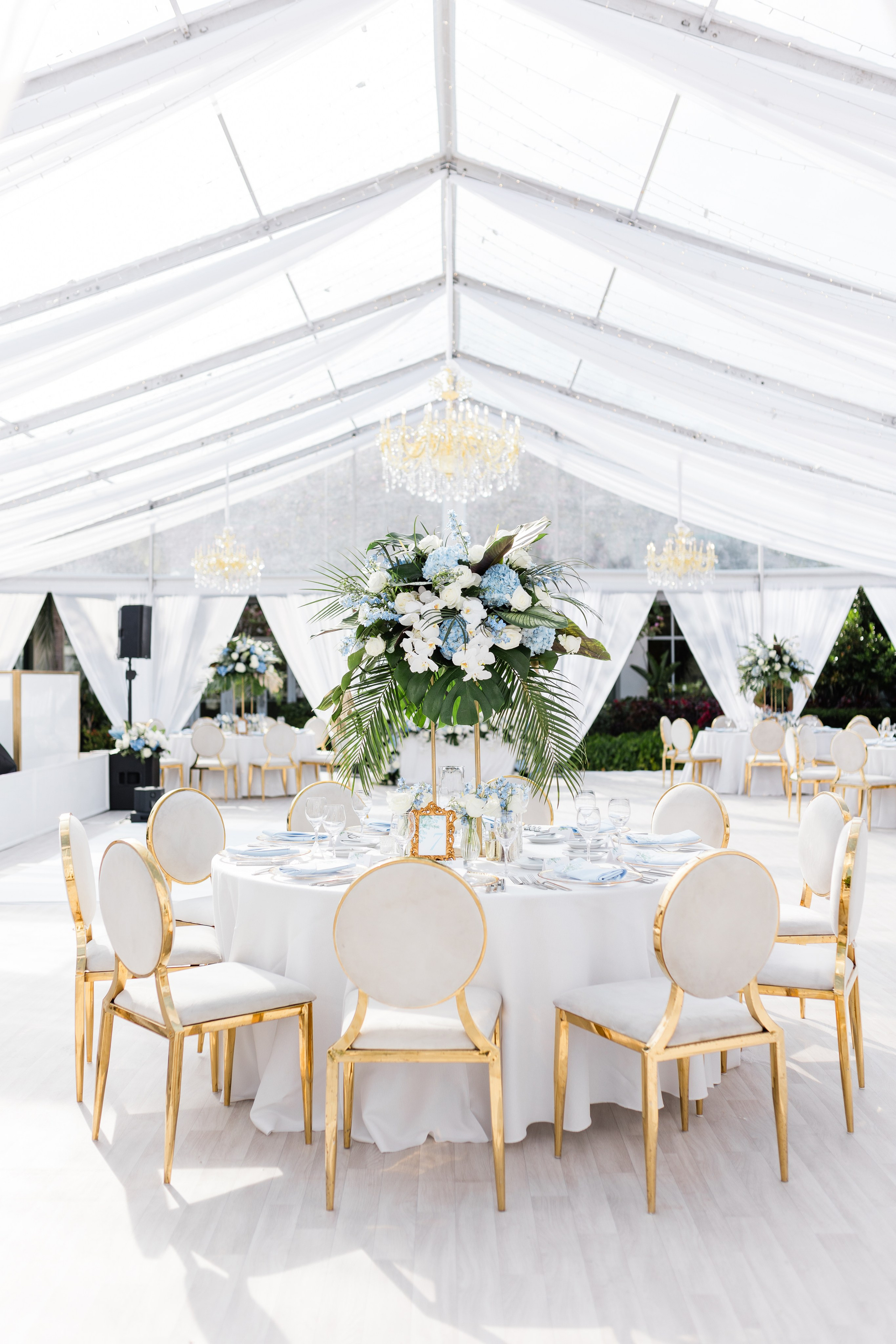 Diana and Filippe Bahamas Wedding. Family and Event photographer in Homestead and Miami areas of Florida