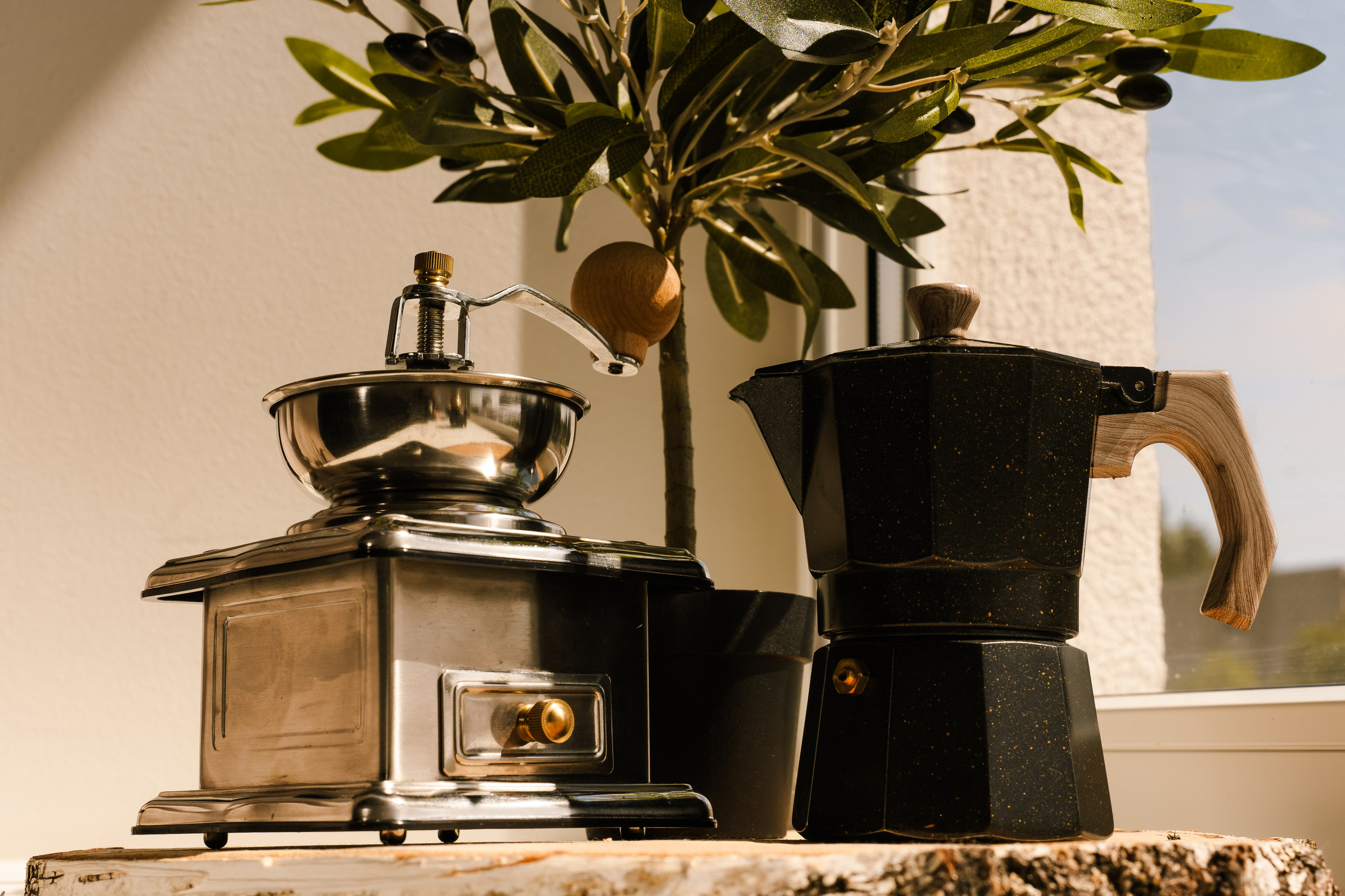 RESTAURANT. Montenegro photographer and videographer