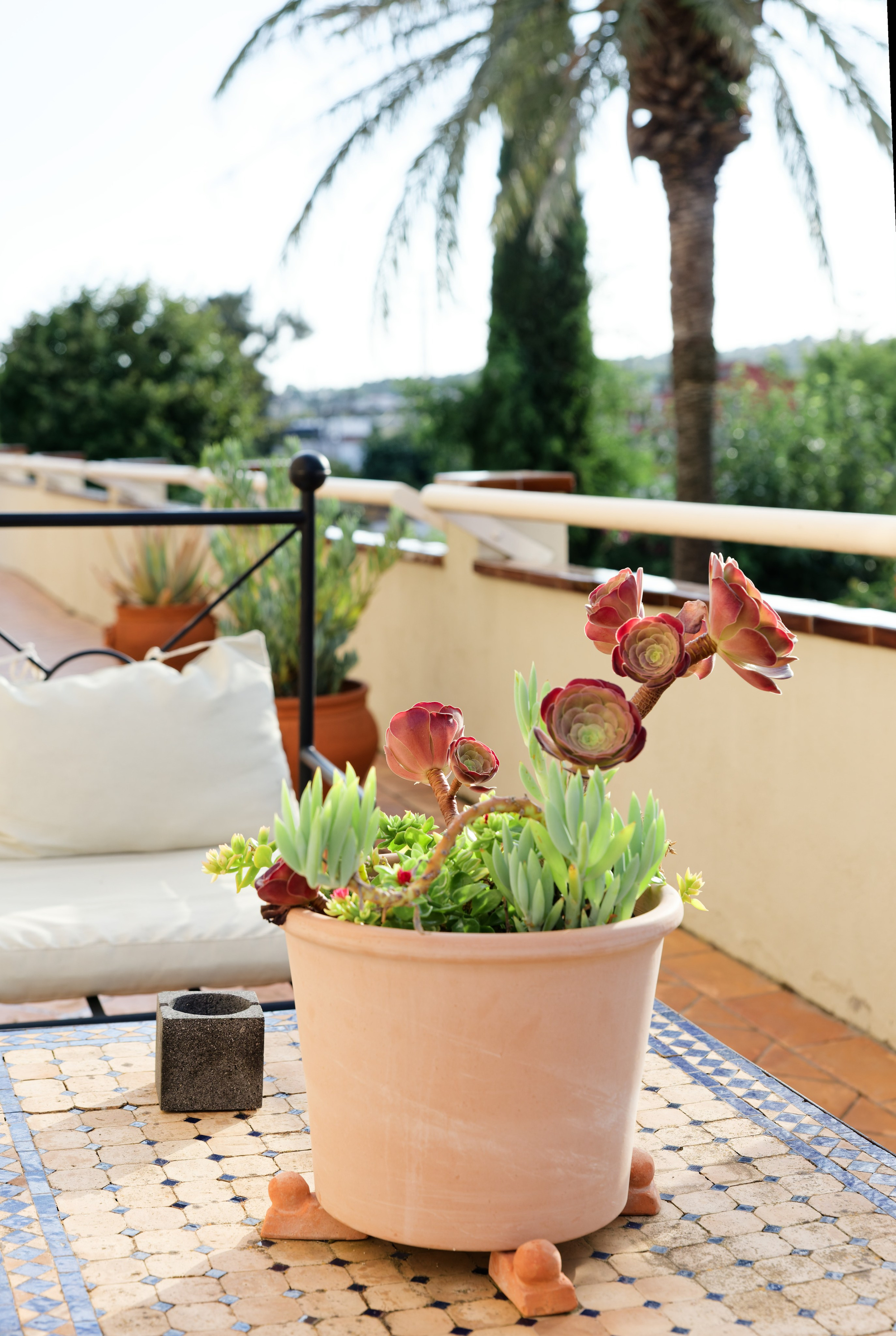 Welcome dinner of Gracie & Joe at Gran Villa Rosa