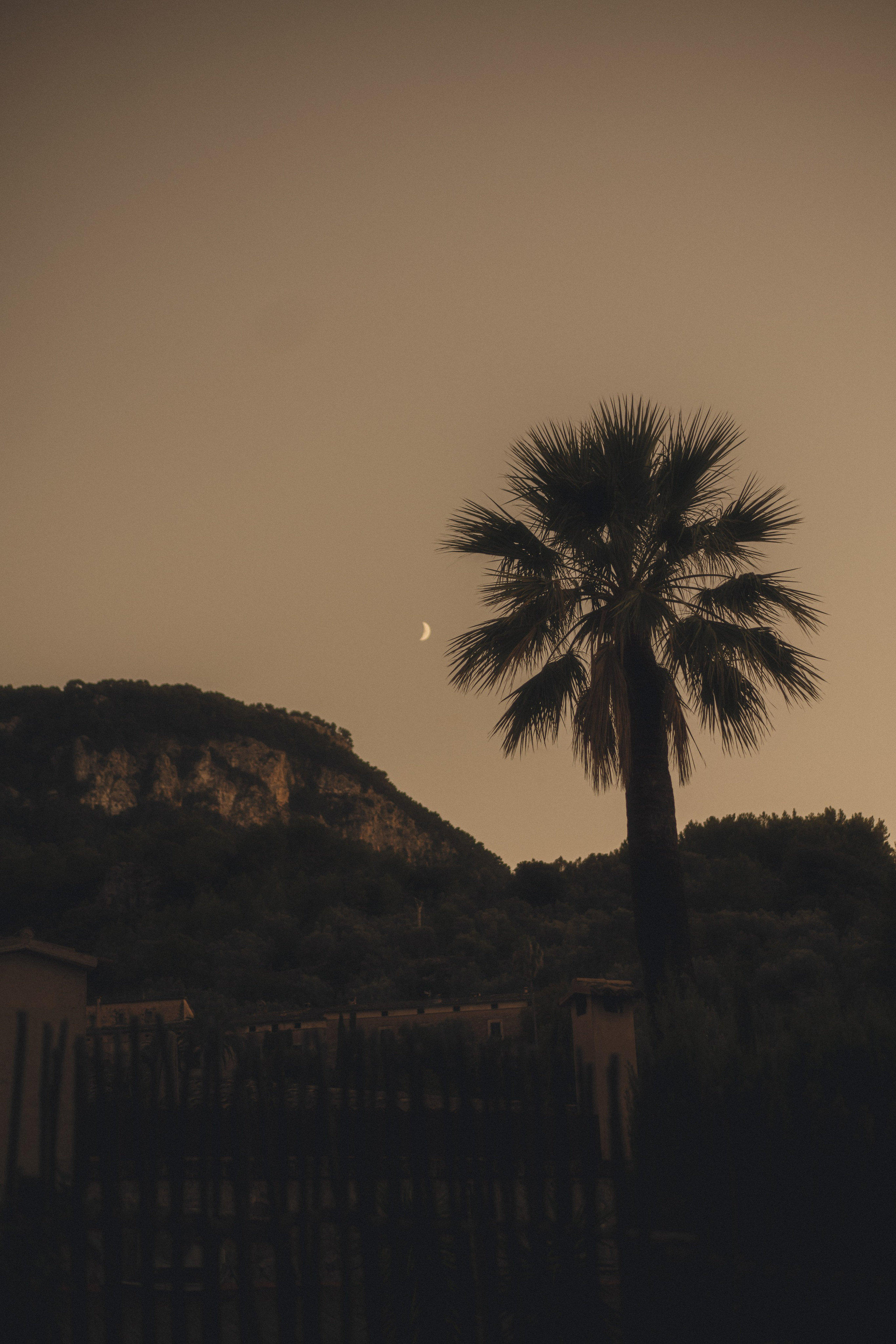 Travel. Portrait, lookbook and family photographer in Riga, LATVIA