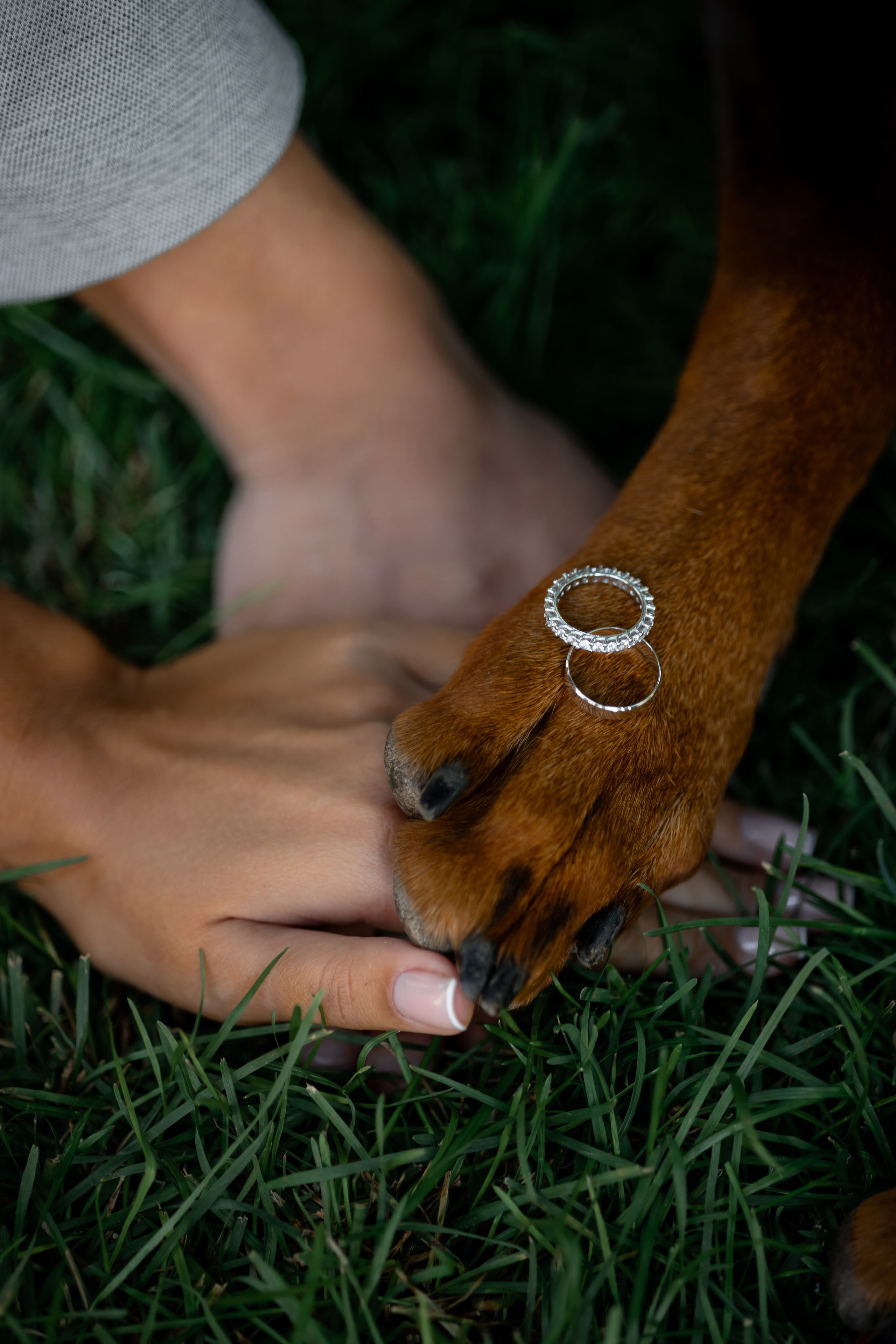 Діана & Влад. Весільний та сімейний фотограф Одеса