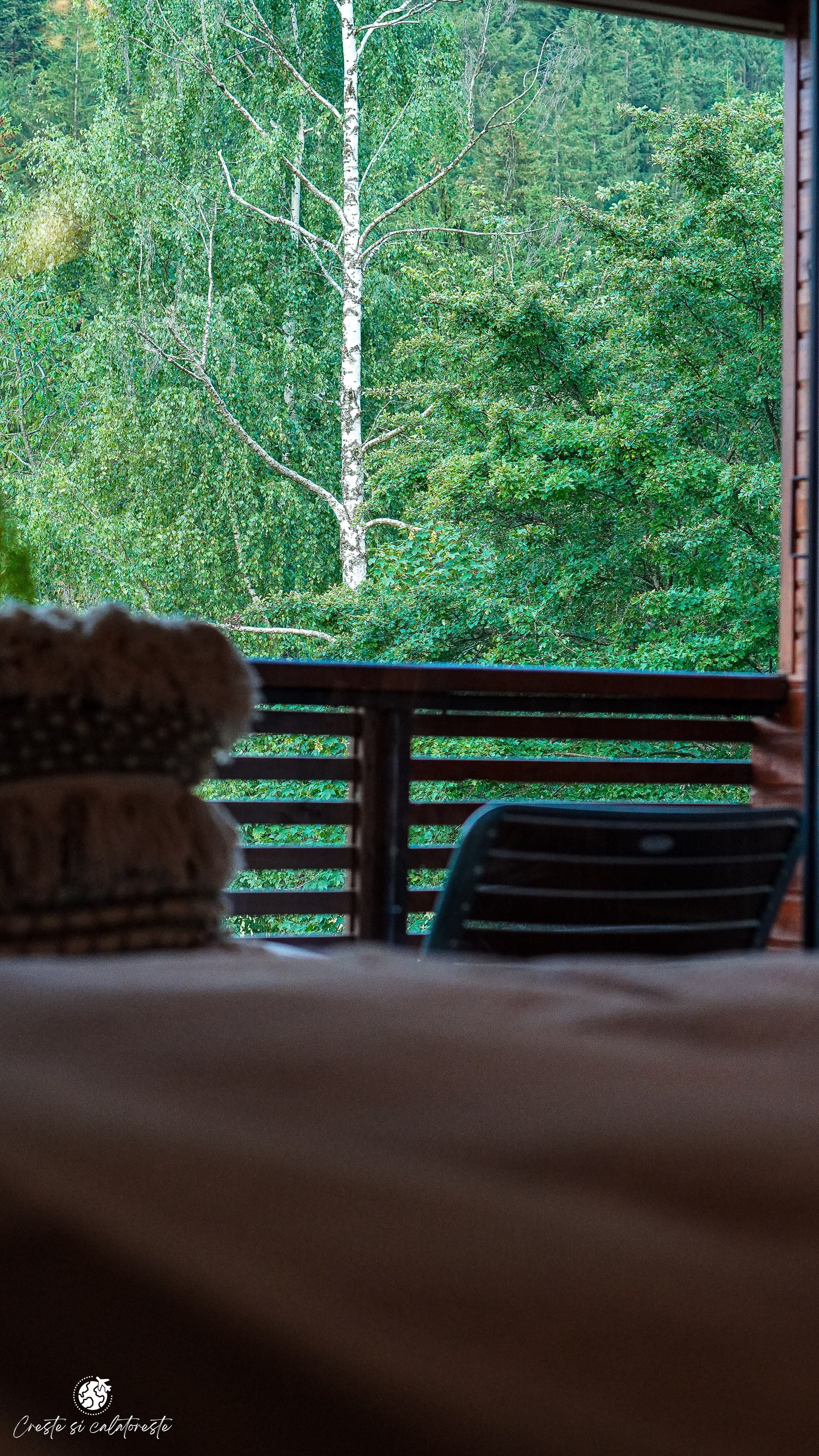 Bransilvania. Creste si calatoreste