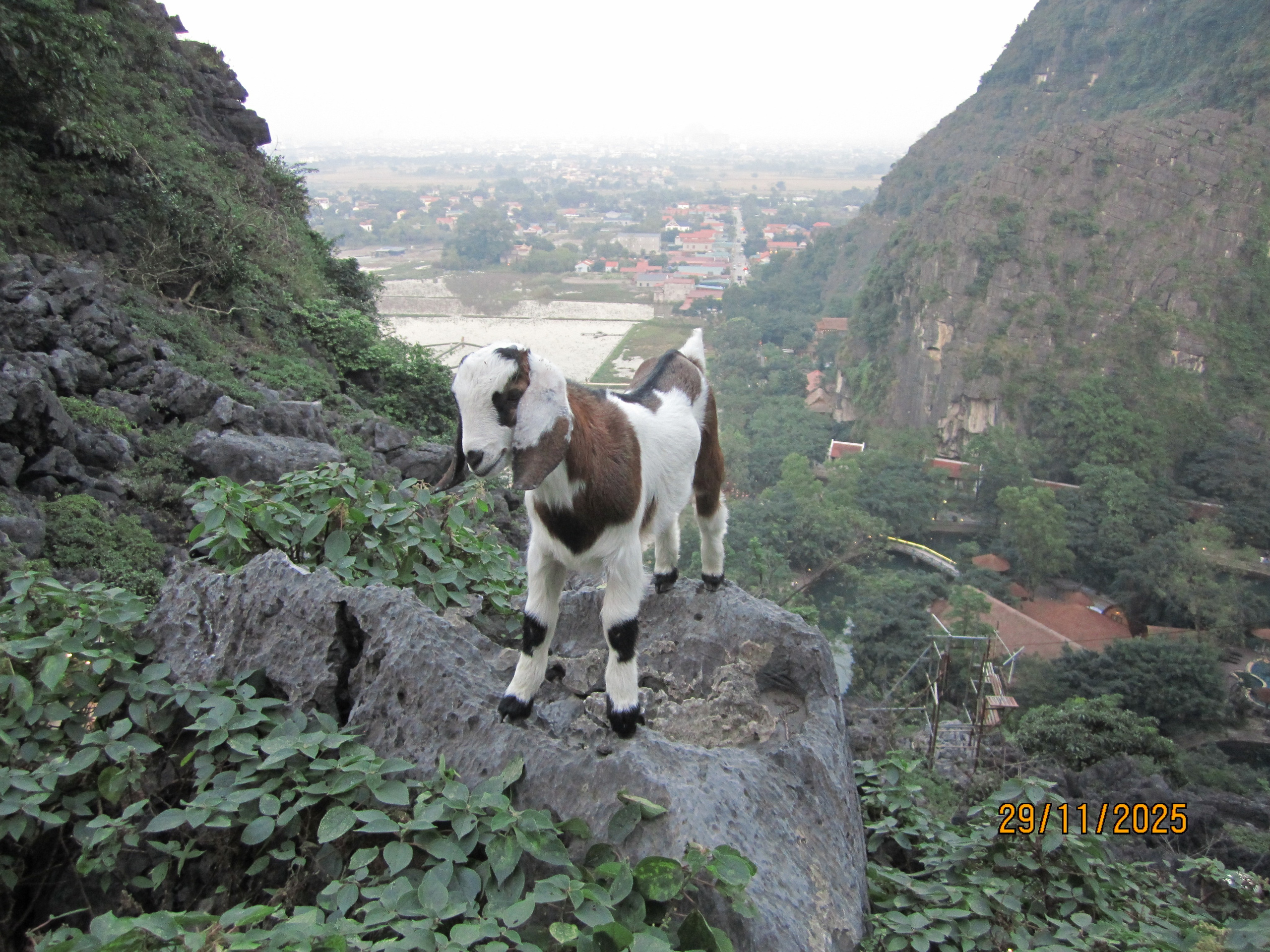 Viies päev. LondoSpeed Photography