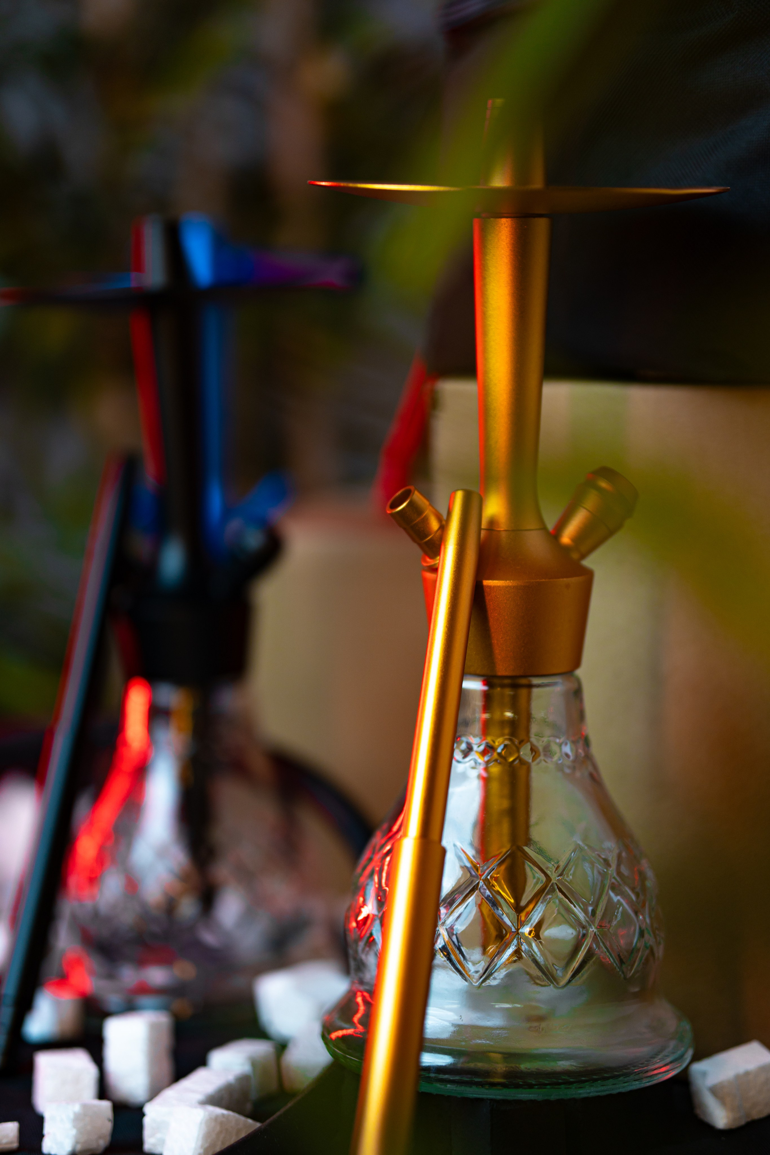 Cachimbas. Baby Beast