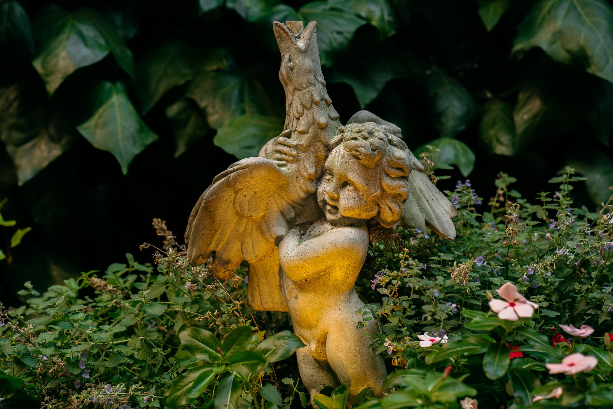 Calvisius La dolce Vita. Diana Fedrigo | Fotografa matrimoni in Italia