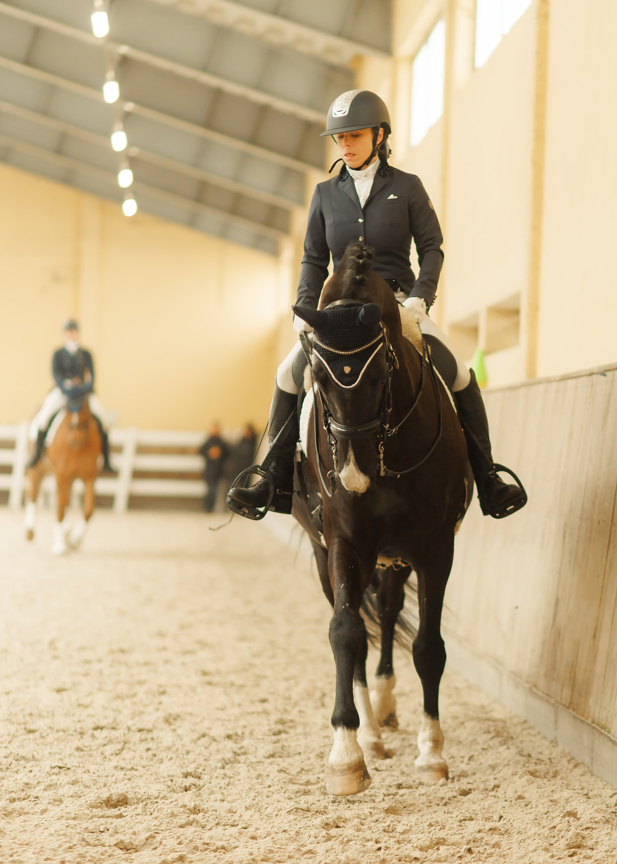 Fotografia koni Wrocław \ ujeżdżenie, Partynice. Kaja | fotograf we Wrocławiu | ludzie i psy