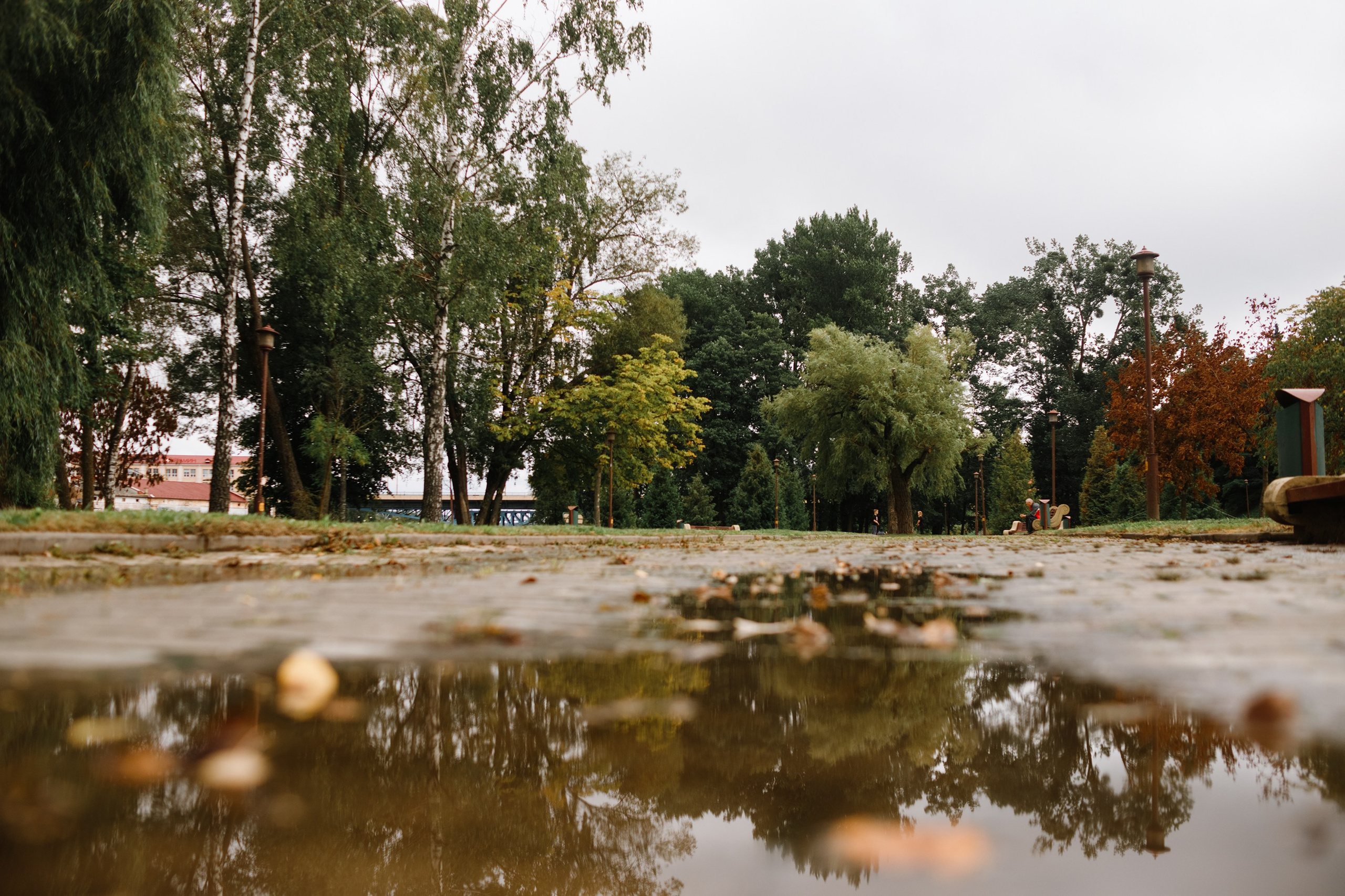 Grodno. Kaja | fotograf we Wrocławiu | ludzie i psy