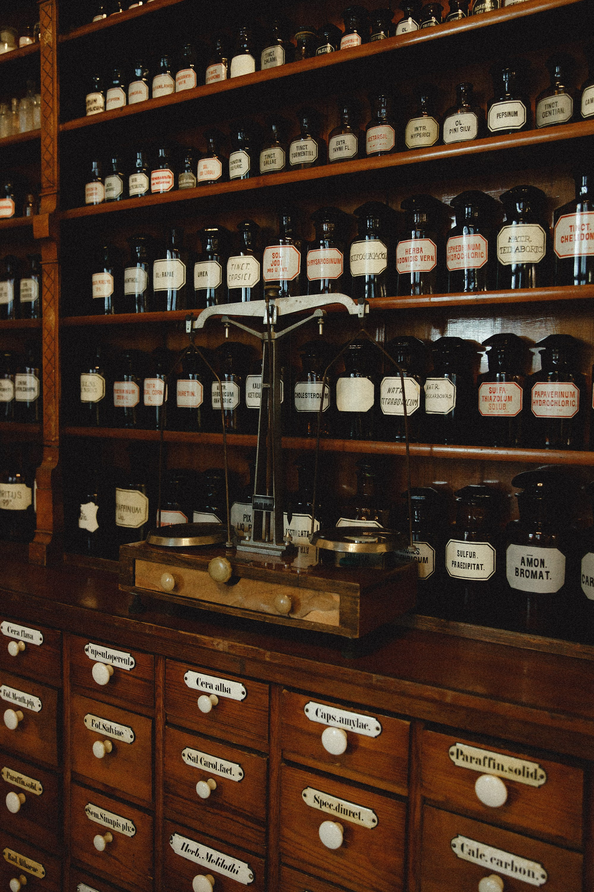 Museum of farmacy in Wroclaw. Kaja | fotograf we Wrocławiu | ludzie i psy