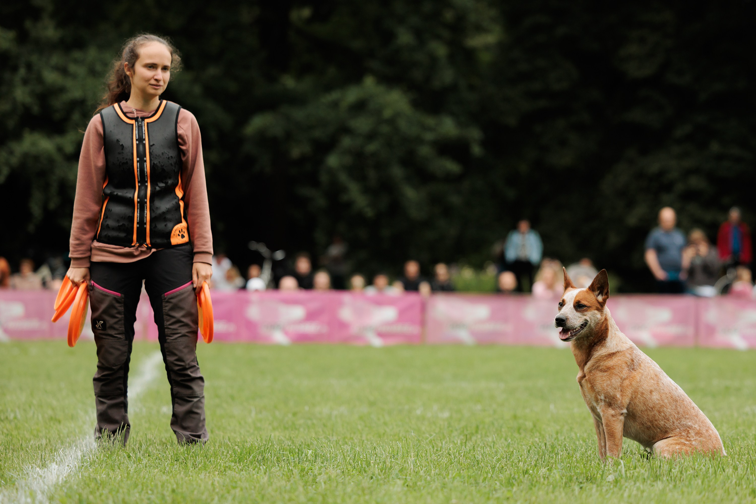 Latające psy, Wrocław'25. Kaja | fotograf psów we Wrocławiu
