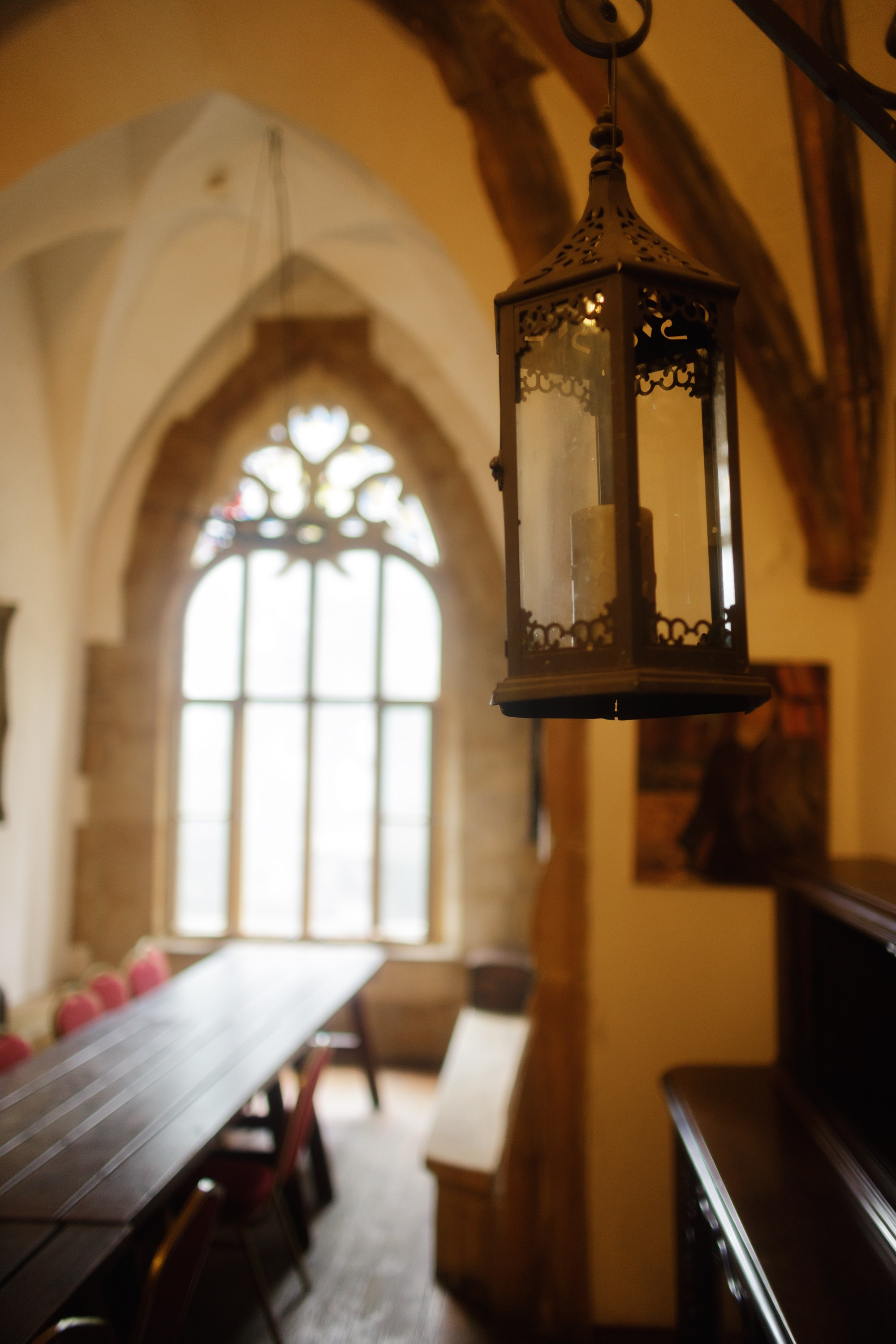 Zamek Grodziec. Kaja | fotograf psów we Wrocławiu