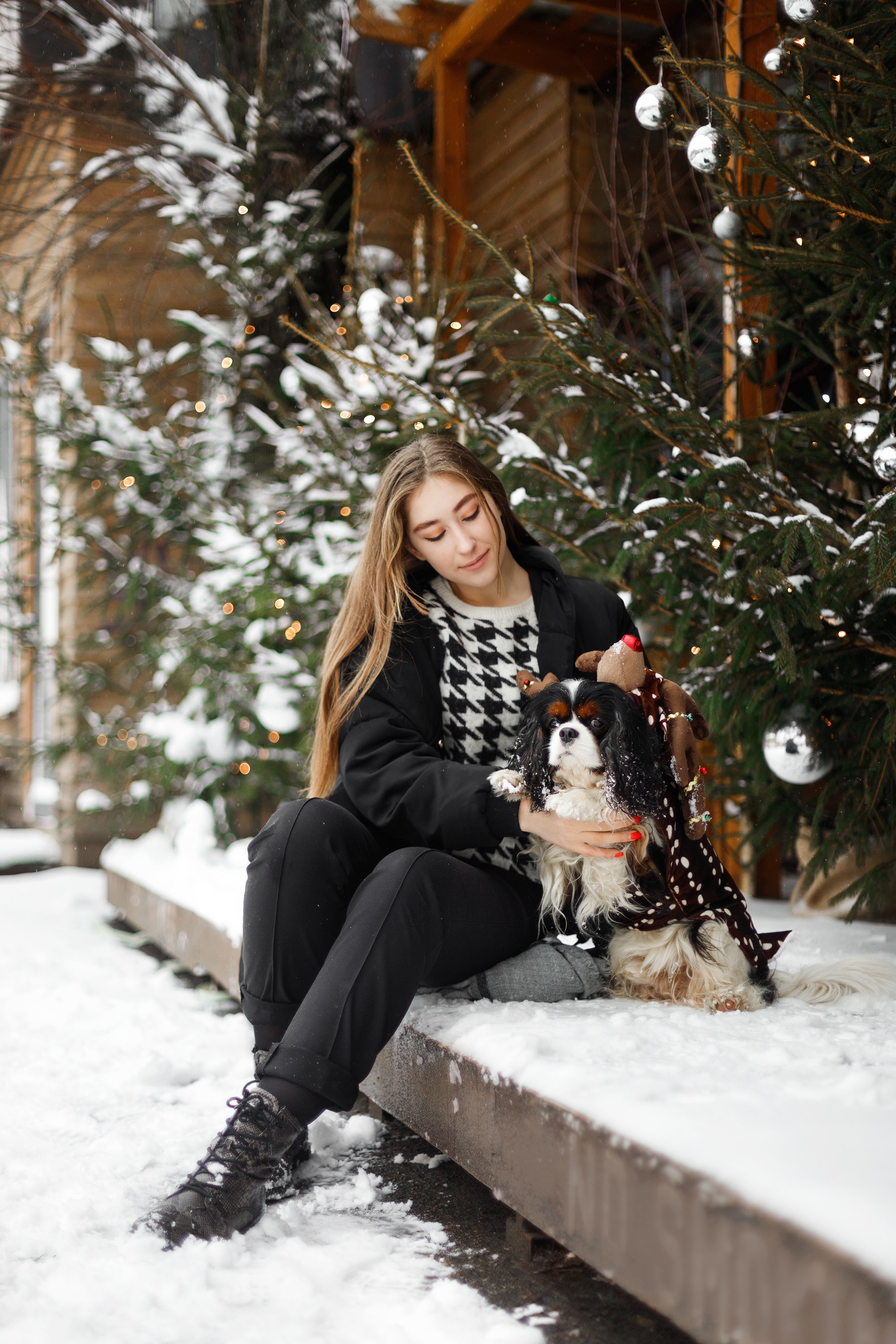 Uliana & winter spaniels. Kaja | fotograf psów we Wrocławiu