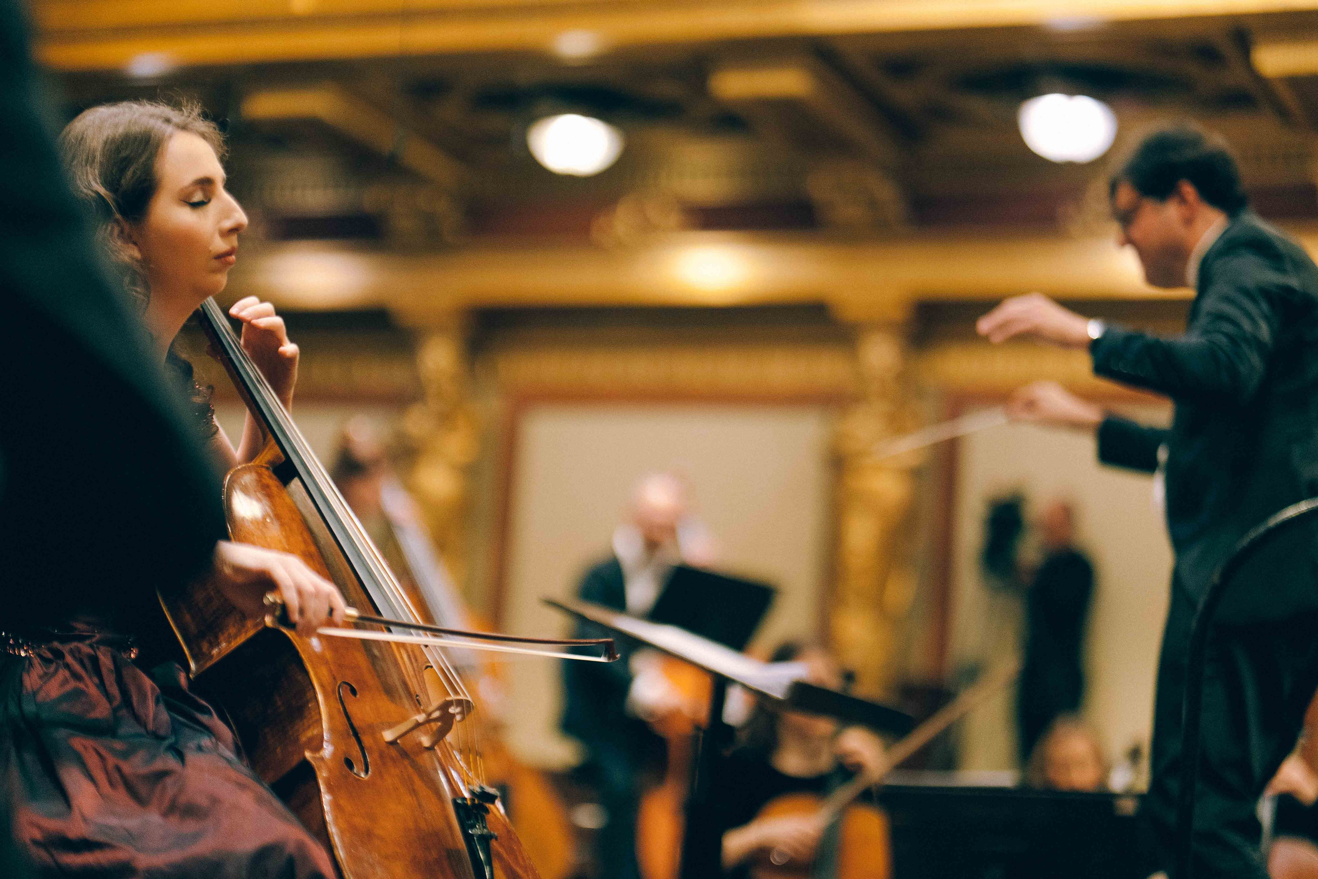 MUSIKVEREIN (VIENNA). Wedding&Event photographer Ismail Rzayev in Baku