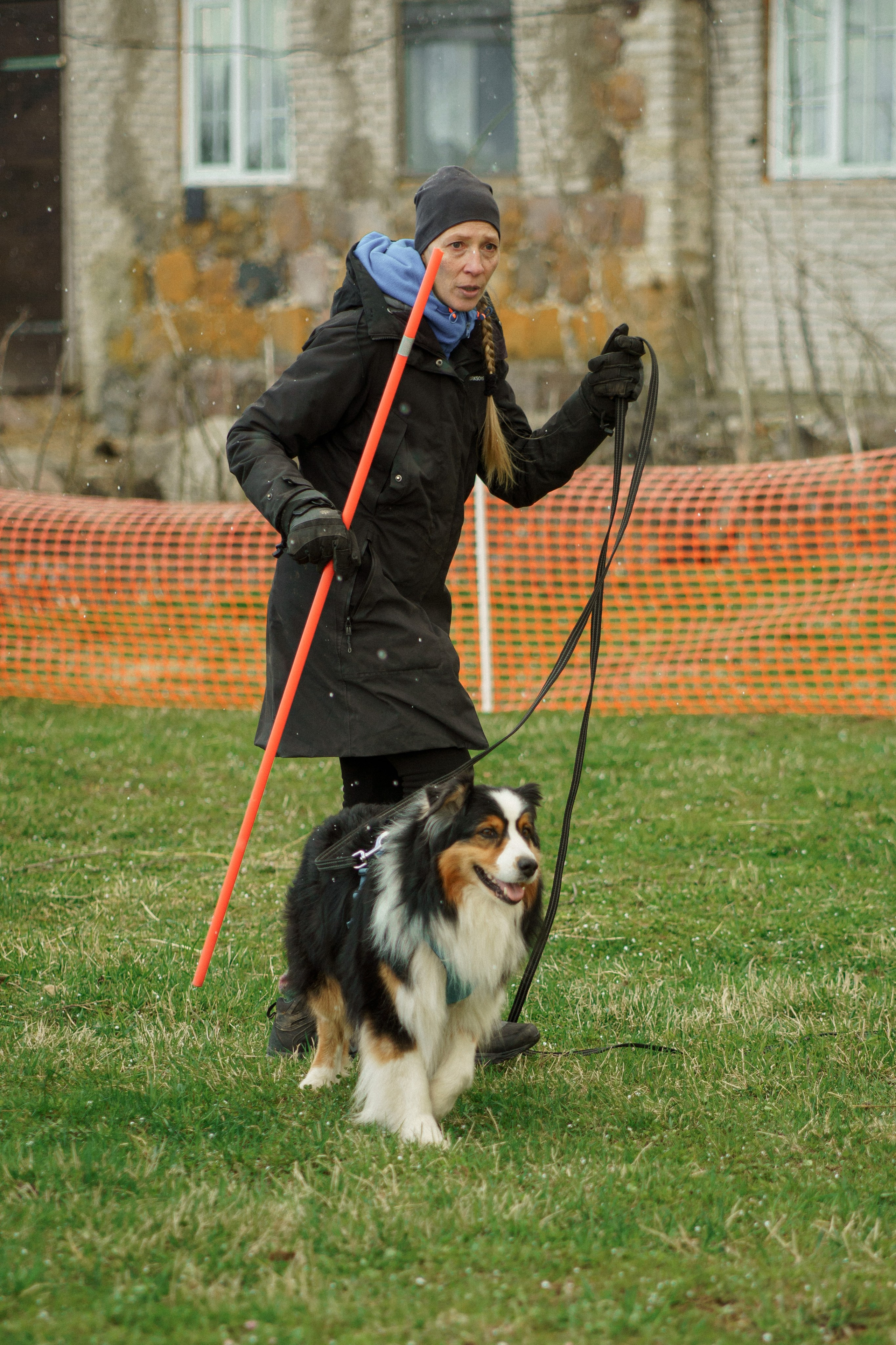 Herding Days, 26 apr. 2025. Kat Laisaar — Pet photographer in Tallinn
