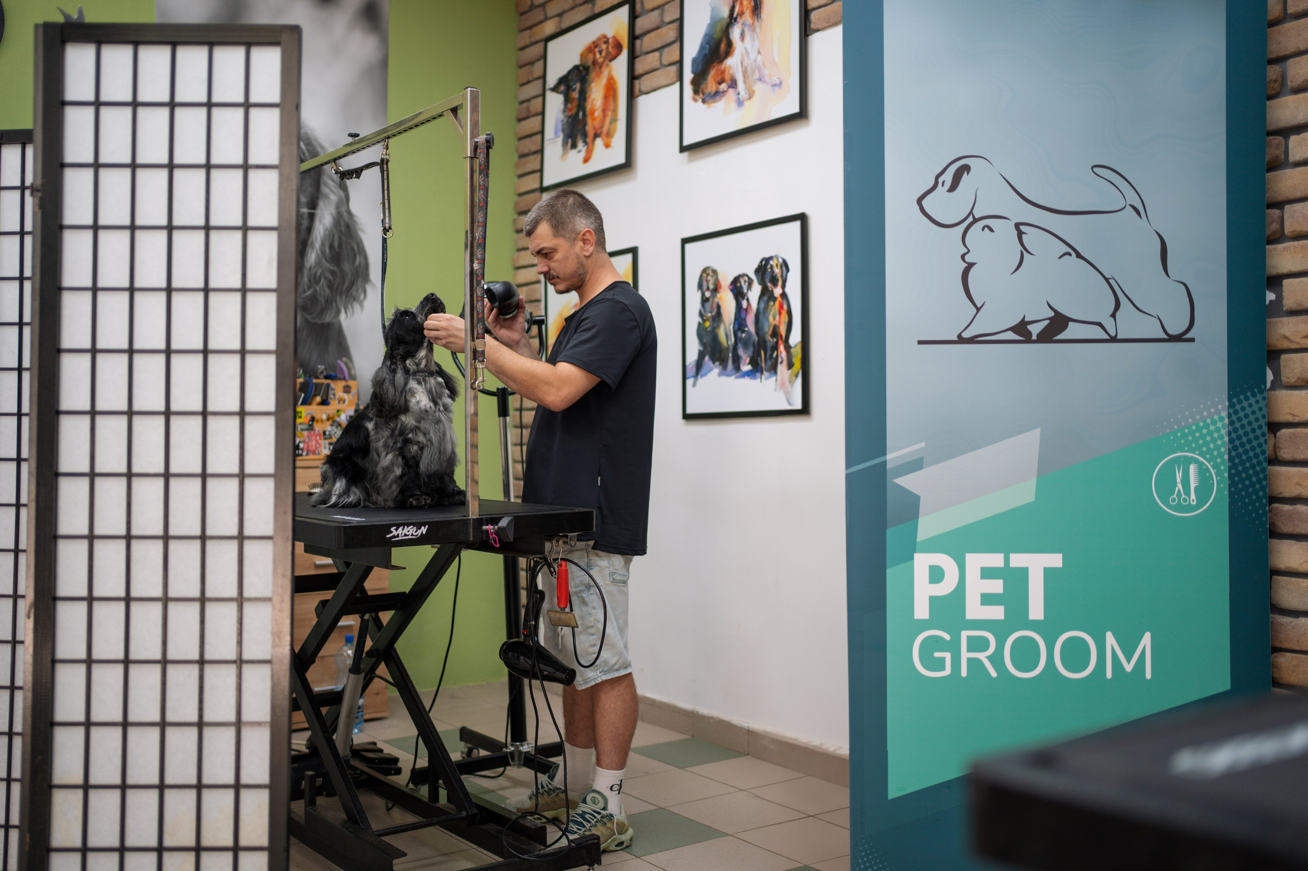 PetGroom Timisoara. Cozac Cristian Photographer