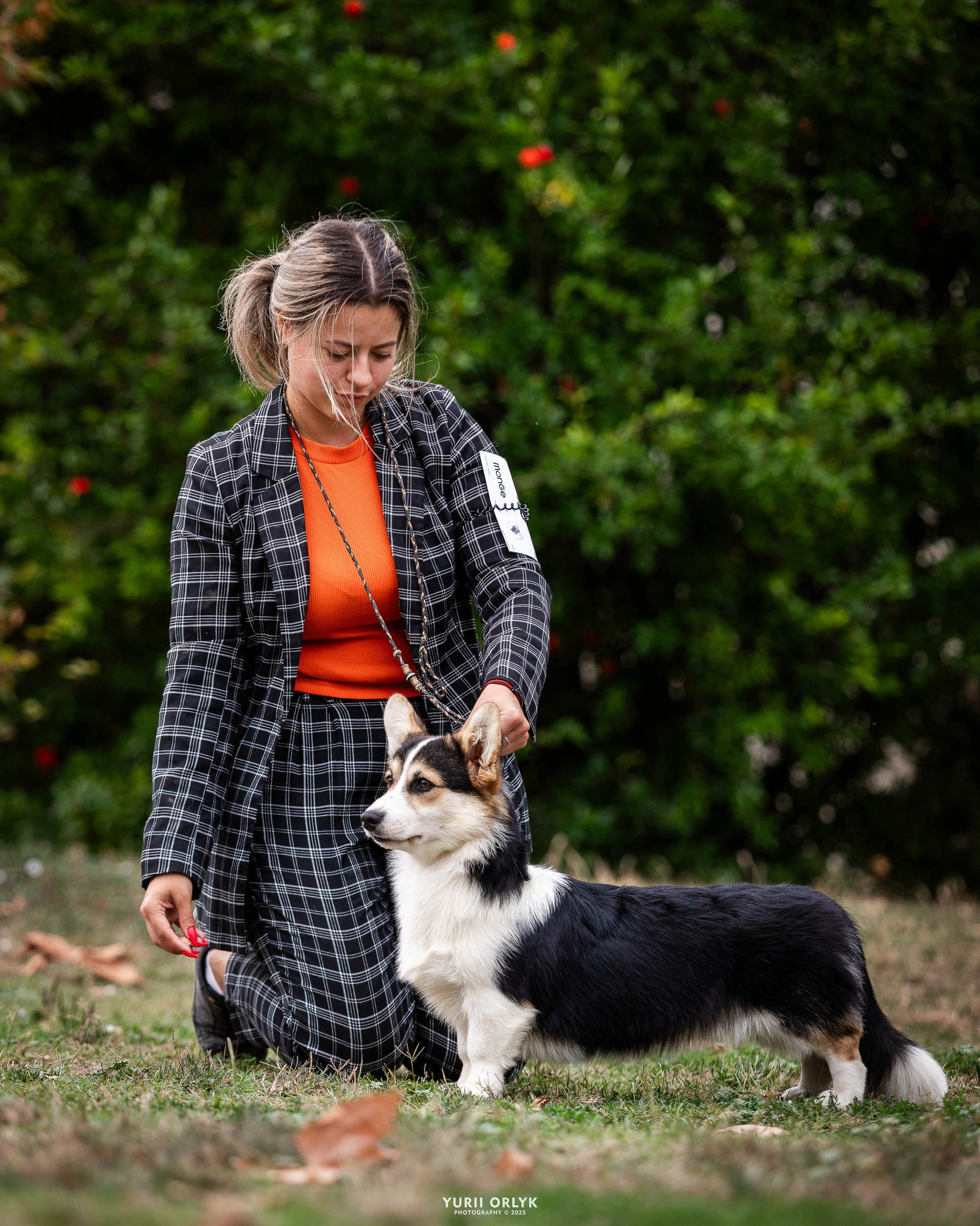 Dog Shows. Yurii Orlyk Photography