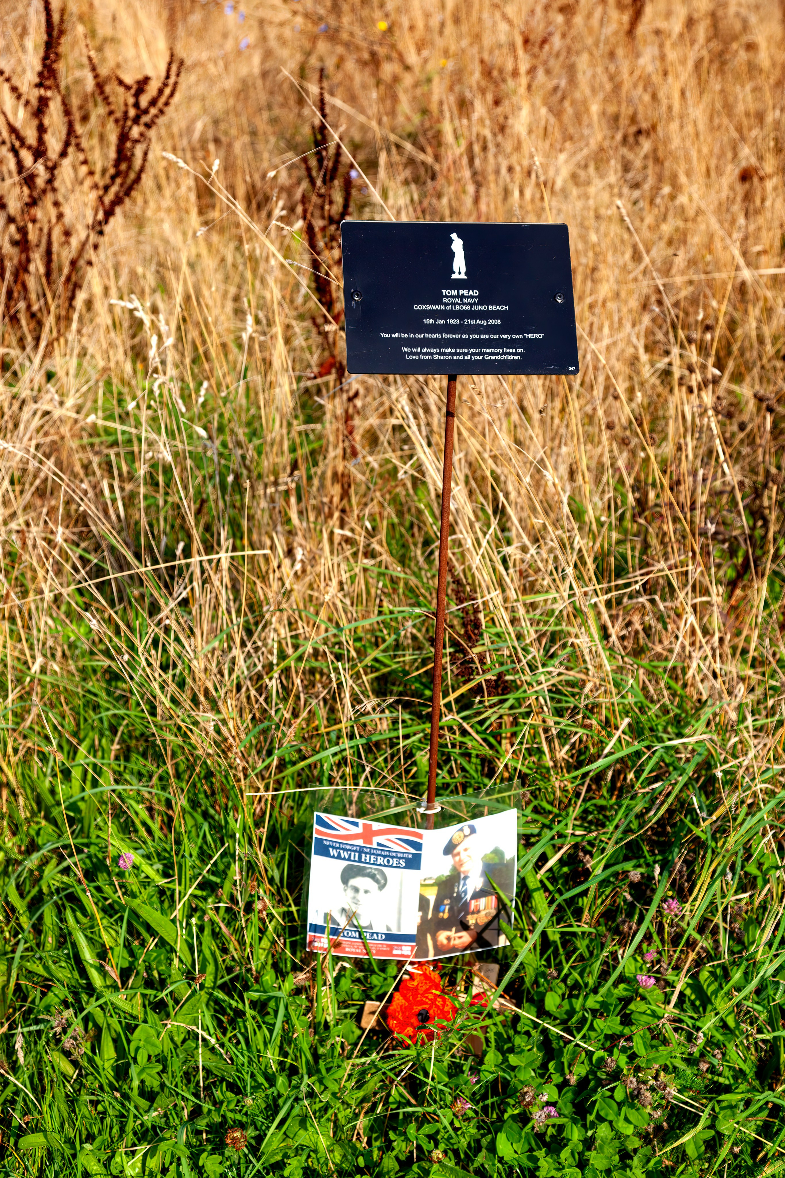 177.British Normandy Memorial.France.19.9.2024. Путешествия в формате 360......
