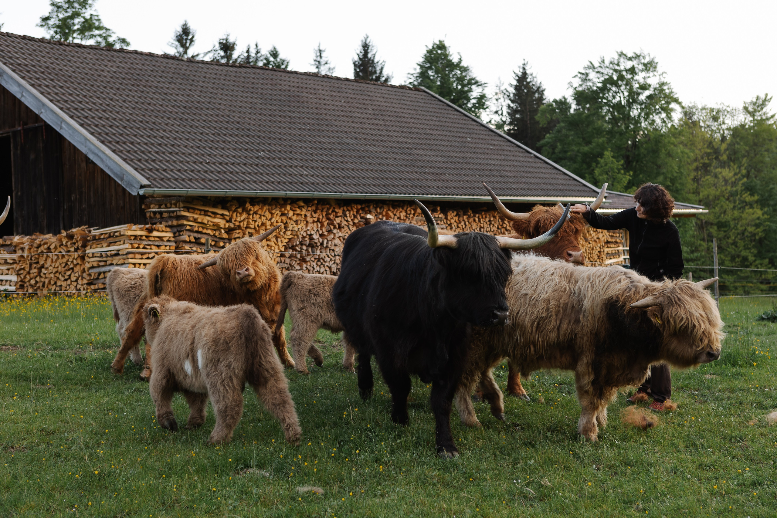 Reportage-Shooting. Fotografin Larysa Chepurko| Füssen| Garmisch-Partenkirchen| Weilheim| Schongau| Murnau| München | Hochzeitsfotograf Füssen | Larysa Photo