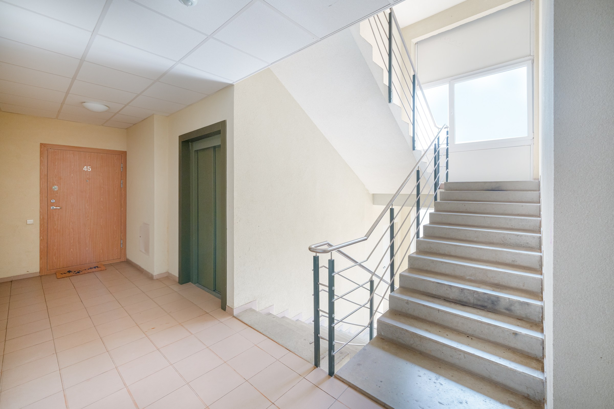 Perkūnkemio g. Elina Sapiega fotografė Vilniuje