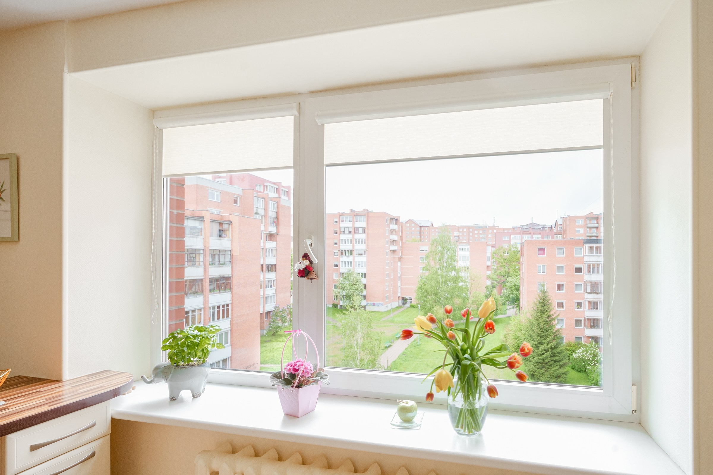 Ateities g. 1. Elina Sapiega fotografė Vilniuje