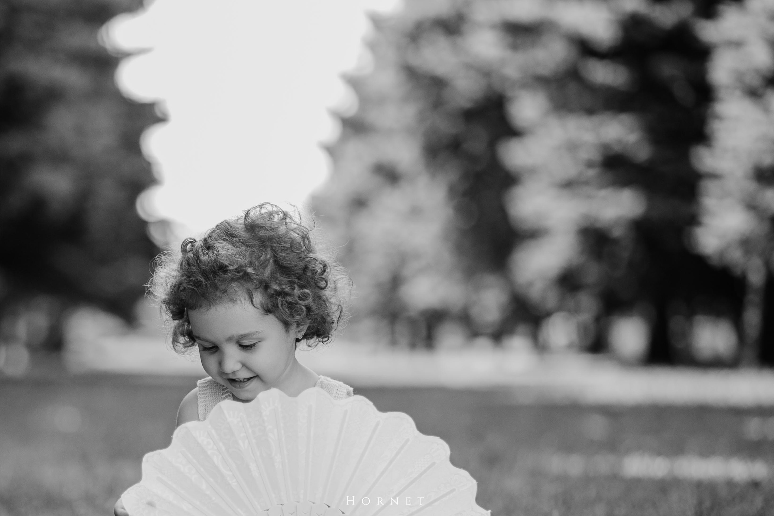 Anne. Hornetart