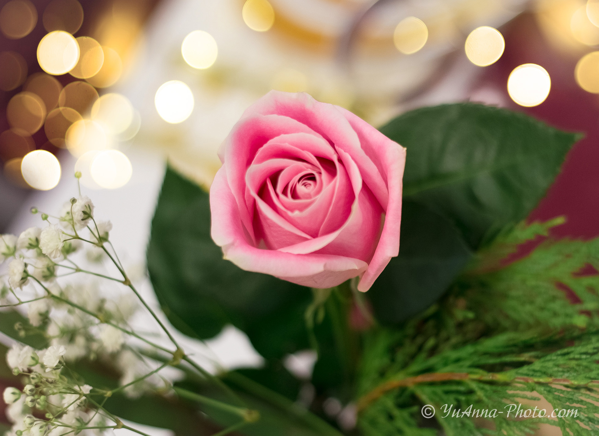 Wedding. YuAnna studio. Family & Kids Photographer in Seattle area, located in