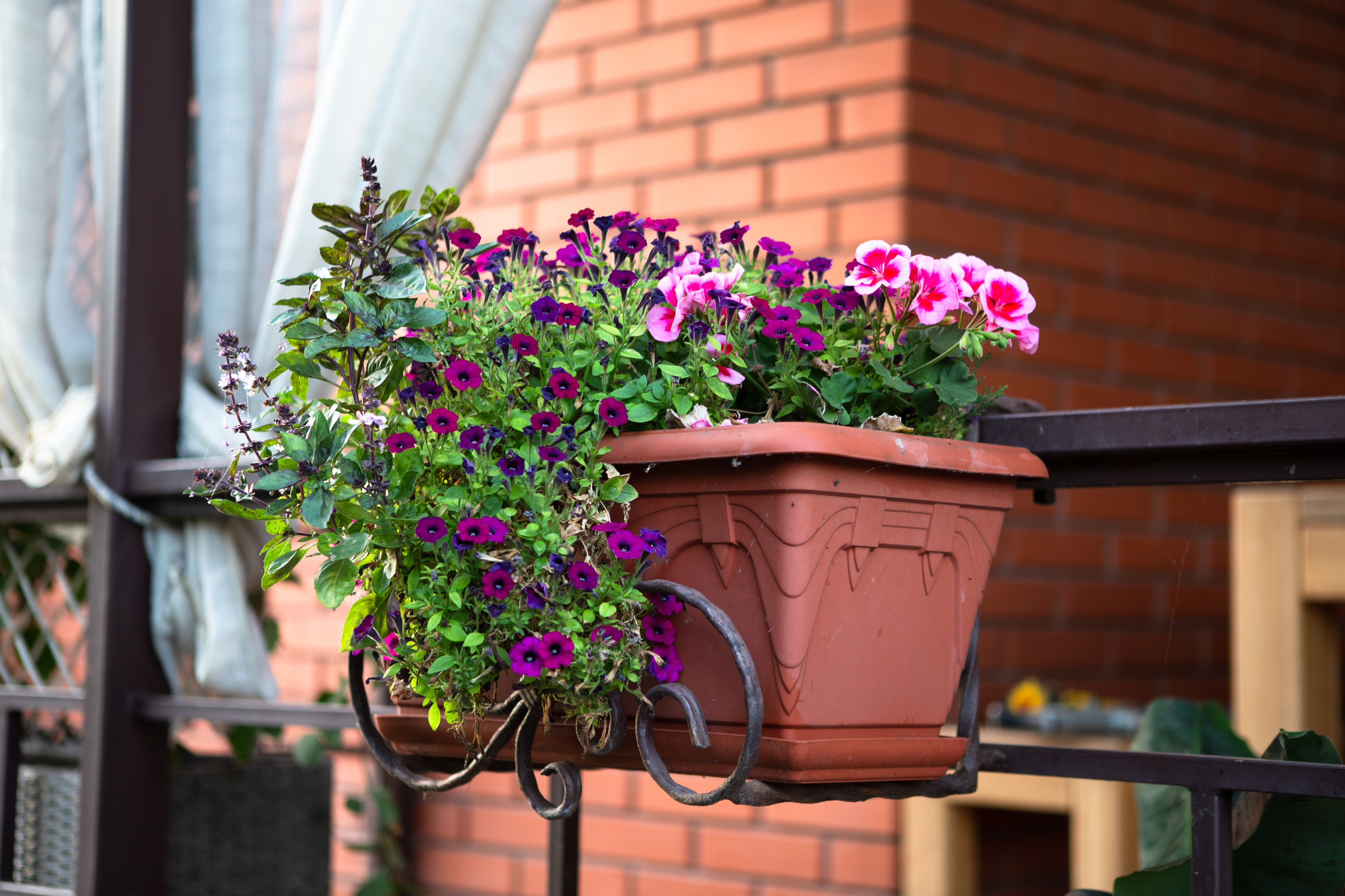 Summer. YuAnna studio. Family & Kids Photographer in Seattle area, located in