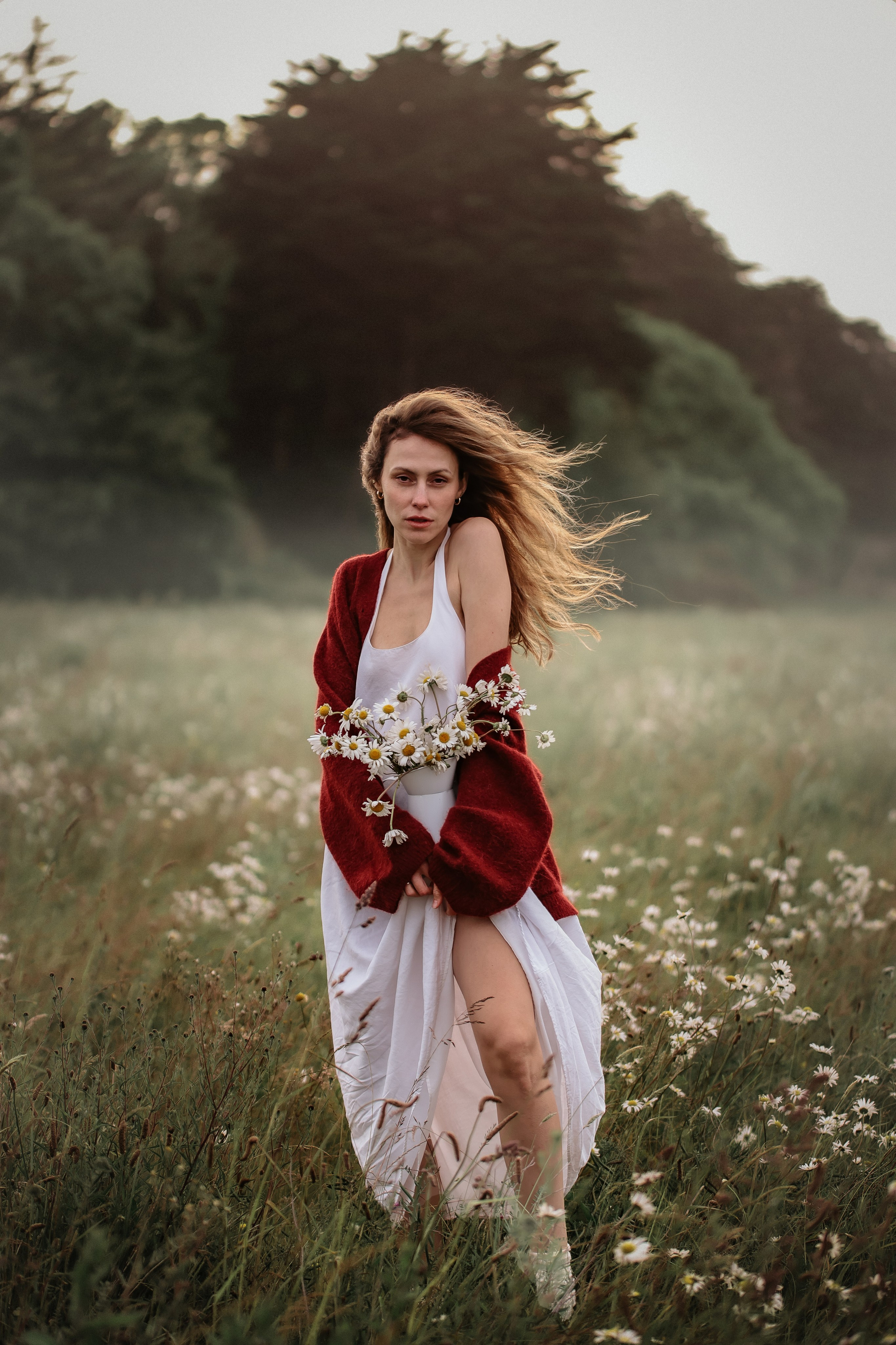 She blooms. Photographer Co Dublin, Balbriggan — Agata Maliseva
