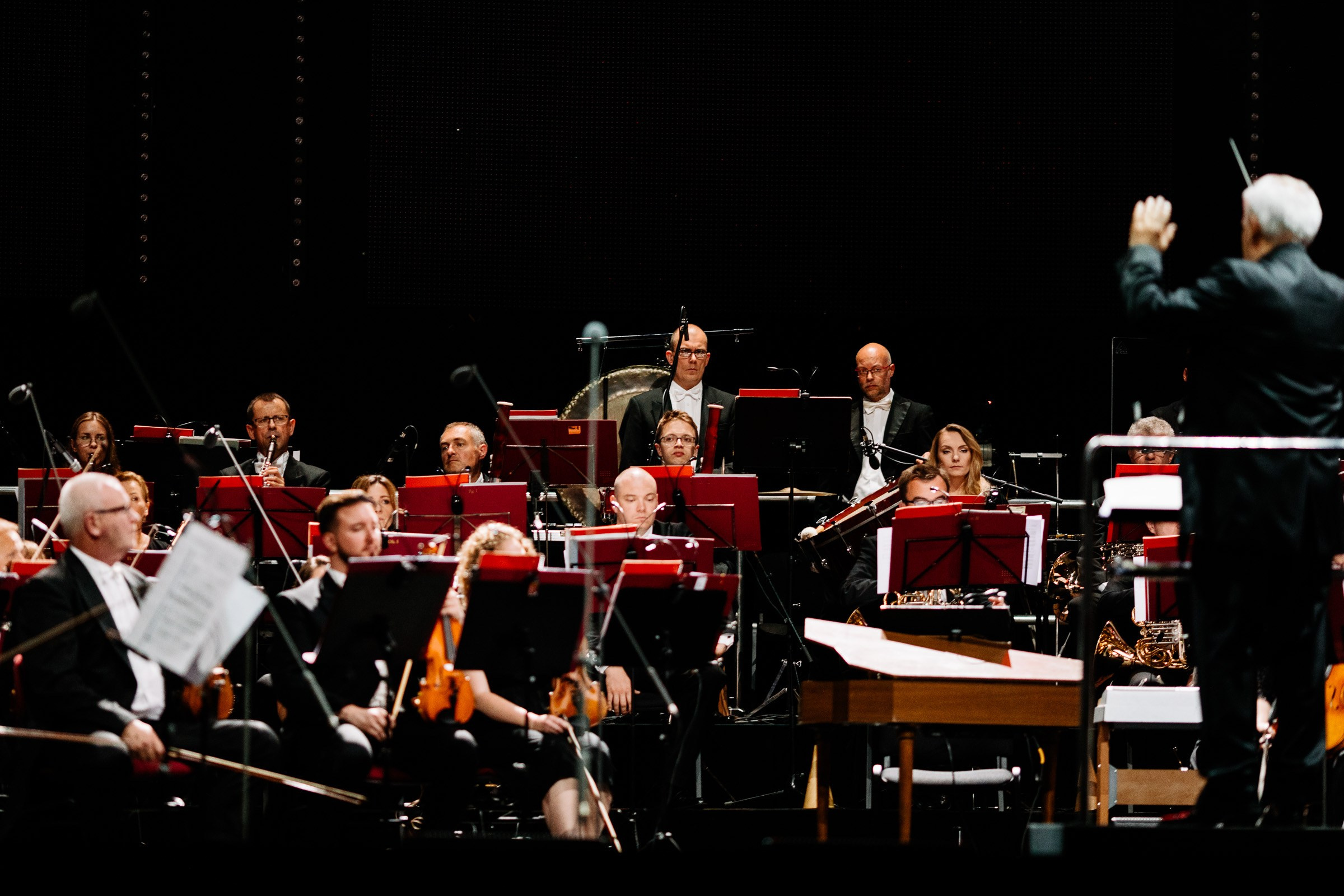 Opera Leśna Koncert. Fotograf Ślubny Warszawa - Sesje Biznesowe Rodzinne Eventy