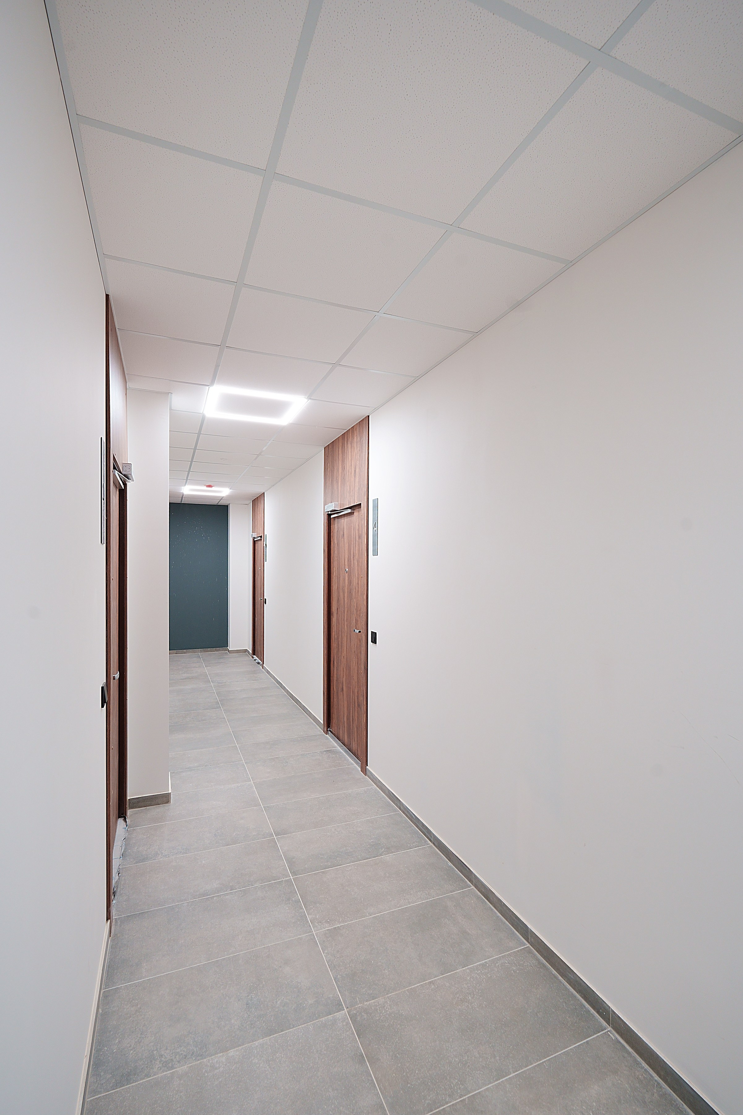 Bajorų kelias g. 29 (4). Elina Sapiega fotografė Vilniuje