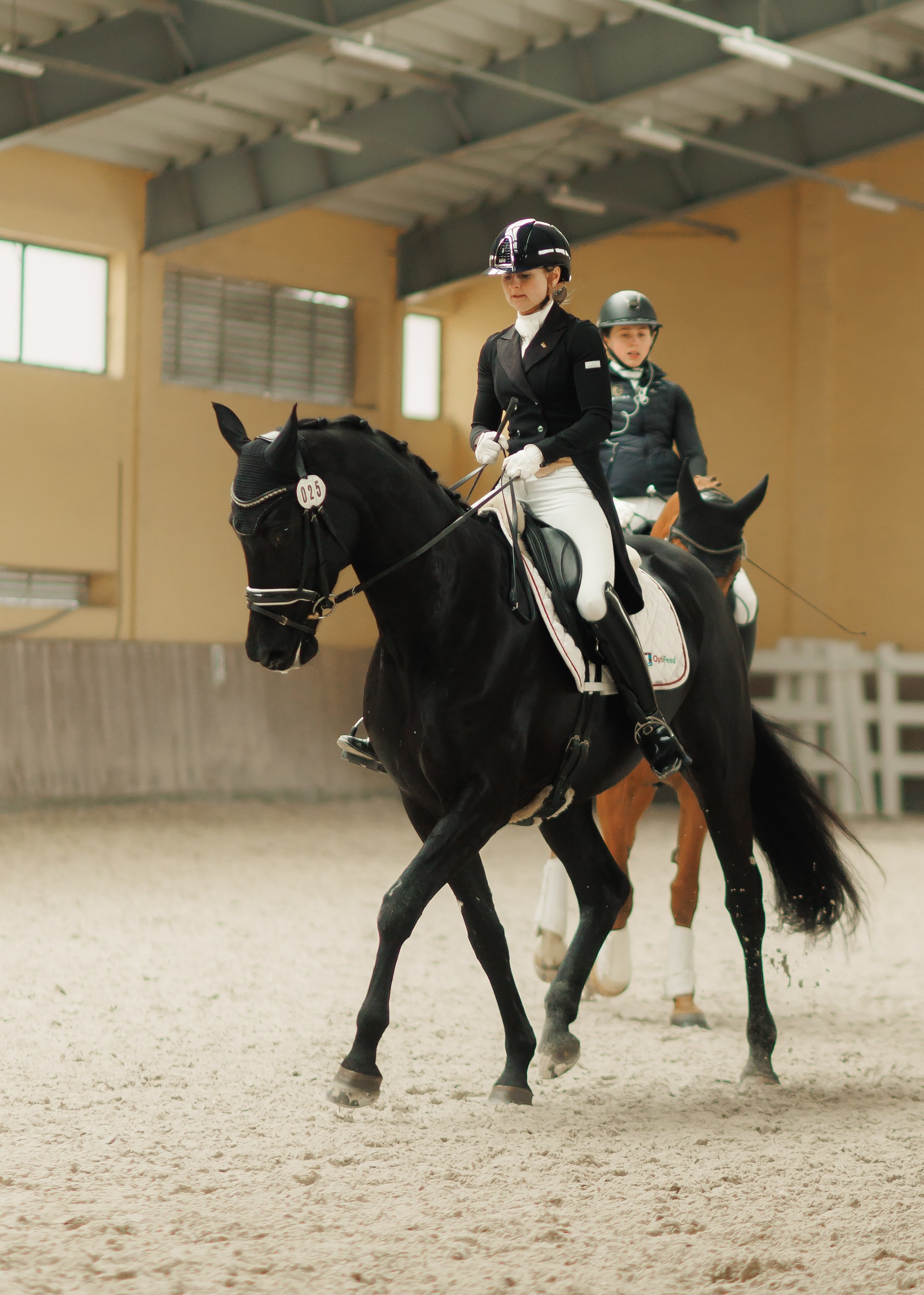 Partynice dressage \ feb'25. Kaja | fotograf we Wrocławiu | ludzie i psy