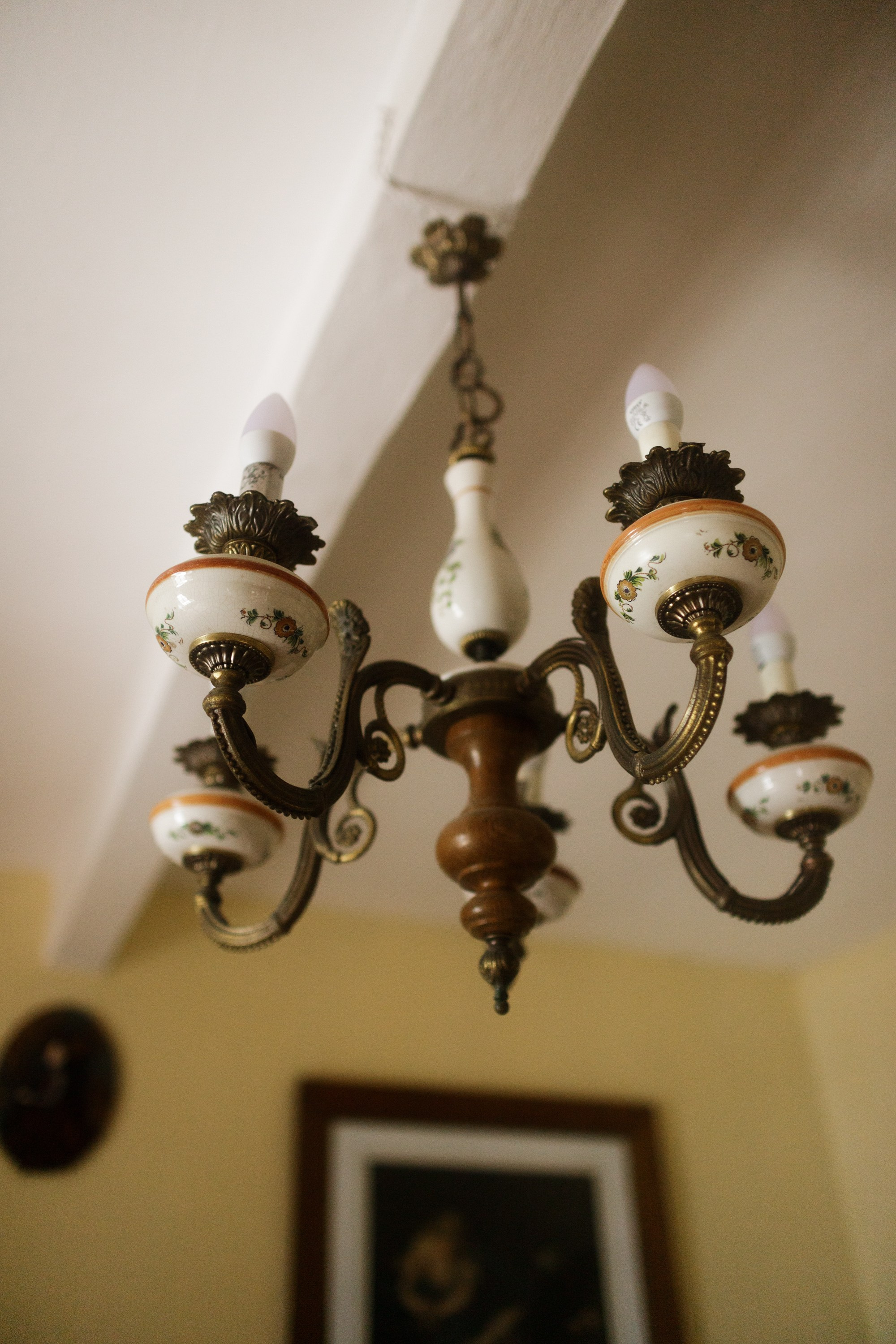 Zamek Grodziec. Kaja | fotograf psów we Wrocławiu