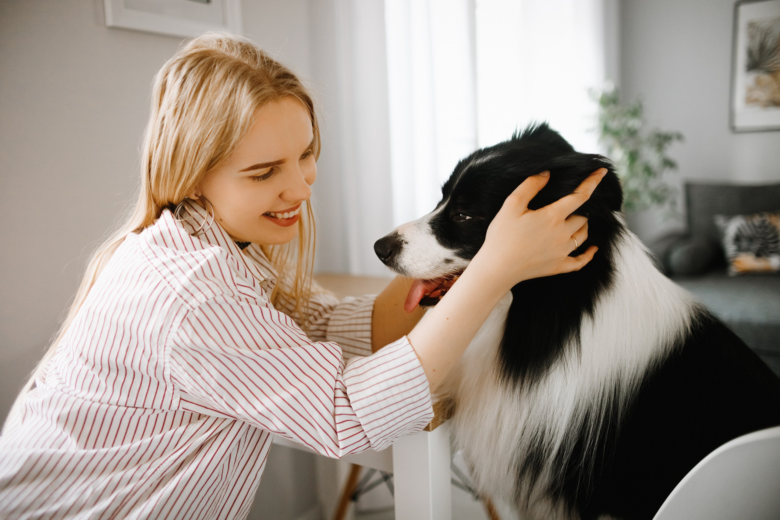 Evgenia & Richard. Kaja | fotograf we Wrocławiu | ludzie i psy