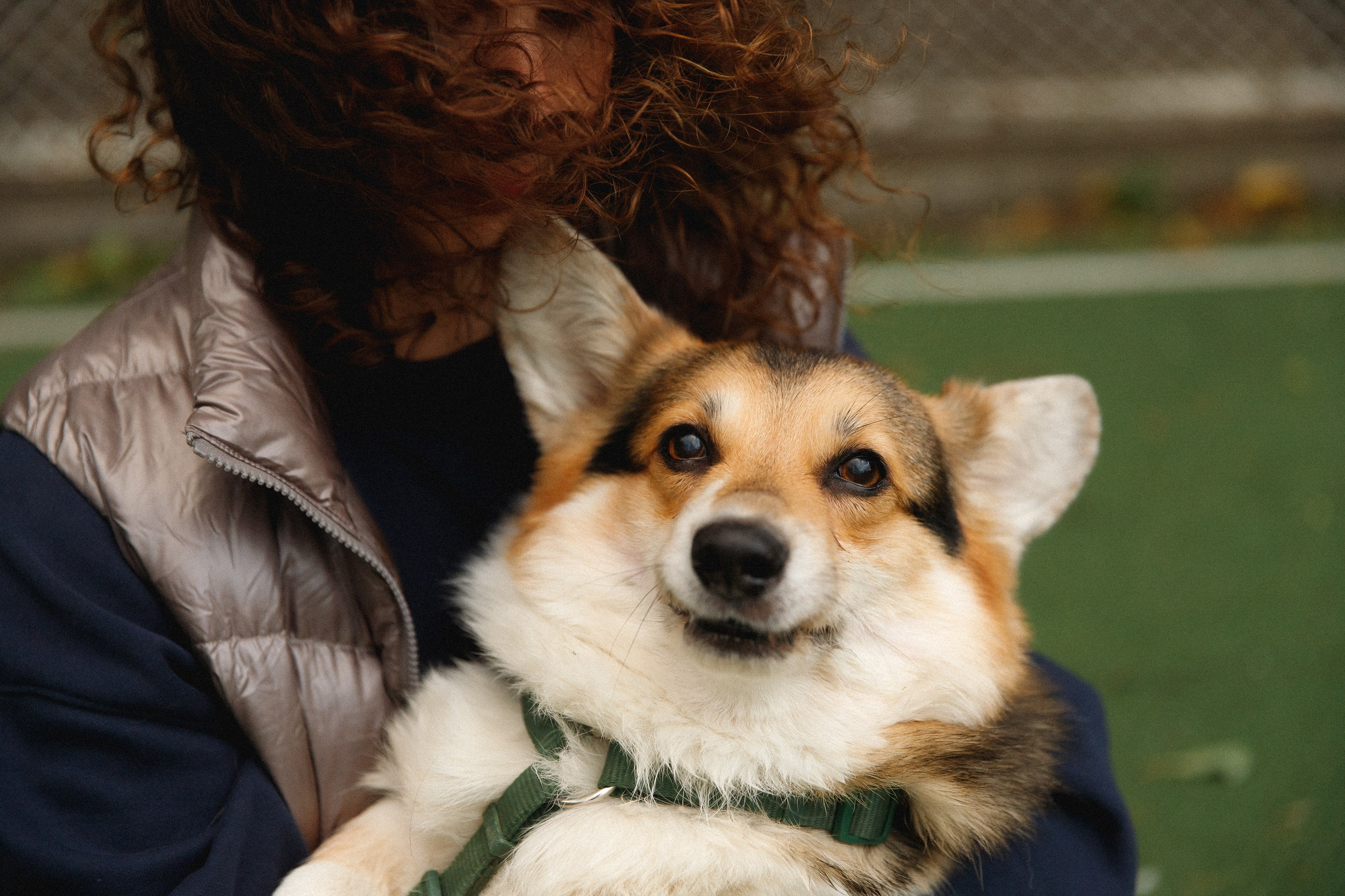 Sasha & Leonid. Kaja | fotograf psów we Wrocławiu
