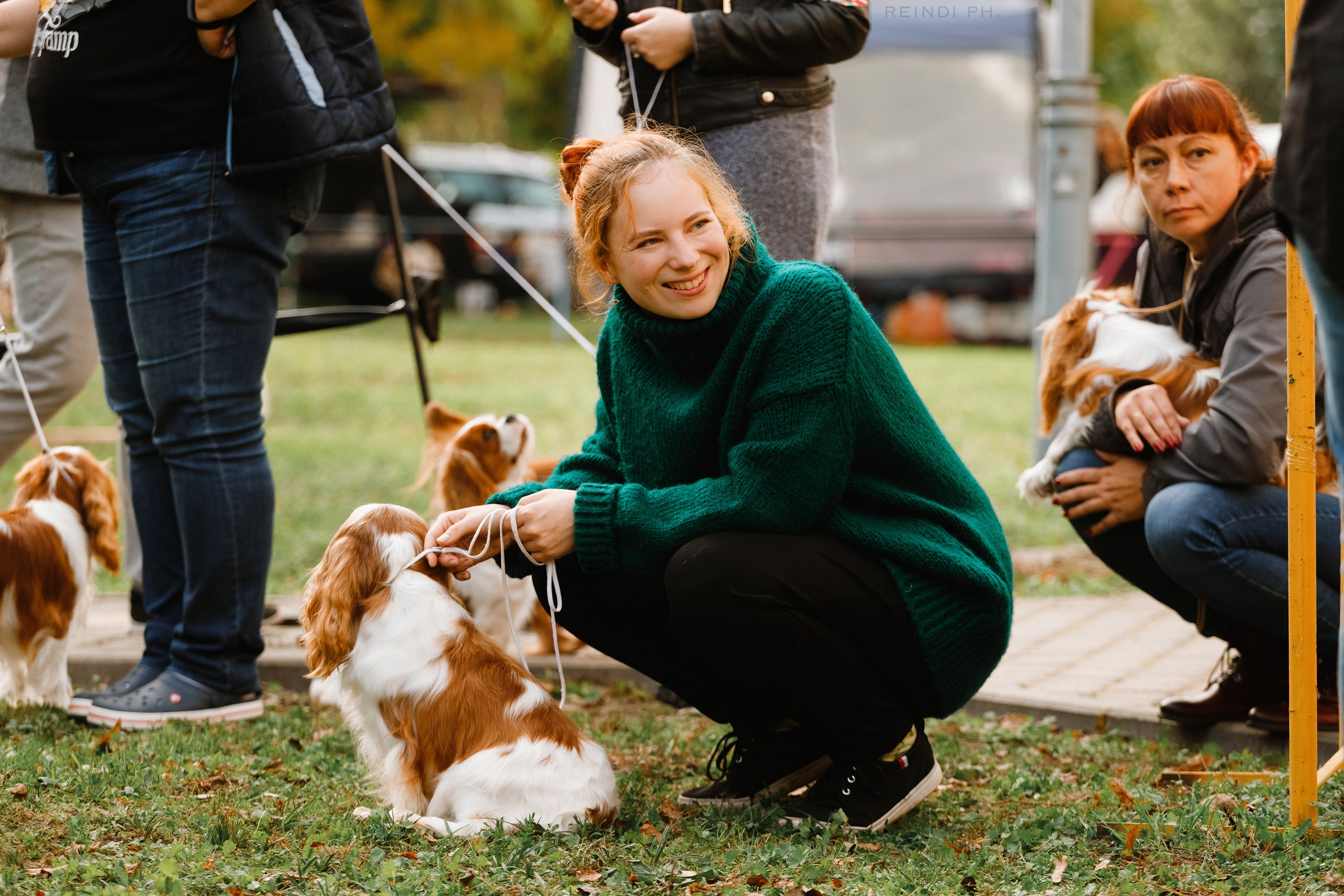 «Argus» dog show in Brest. Kaja | fotograf we Wrocławiu | ludzie i psy