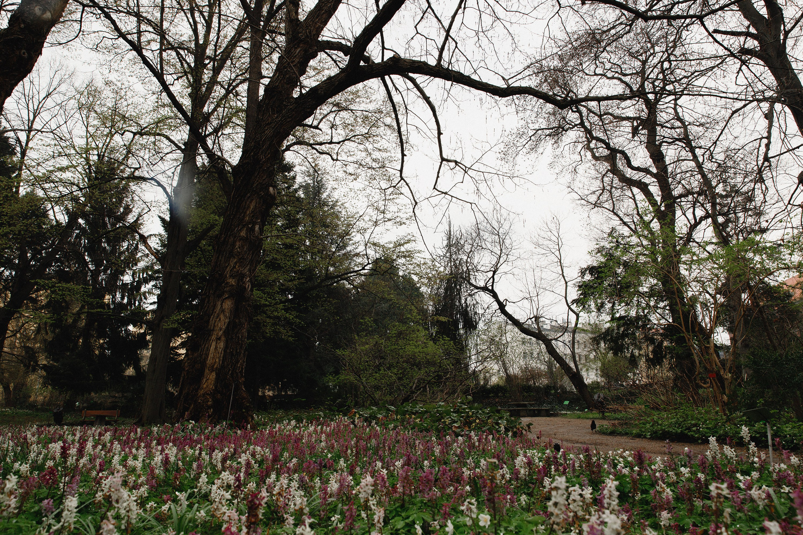 Botanical garden in Wroclaw. Kaja | fotograf we Wrocławiu | ludzie i psy