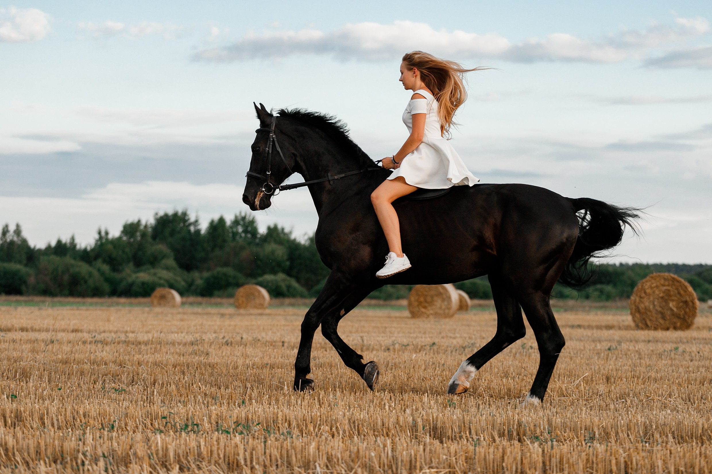 One sunset. Kaja | fotograf psów we Wrocławiu