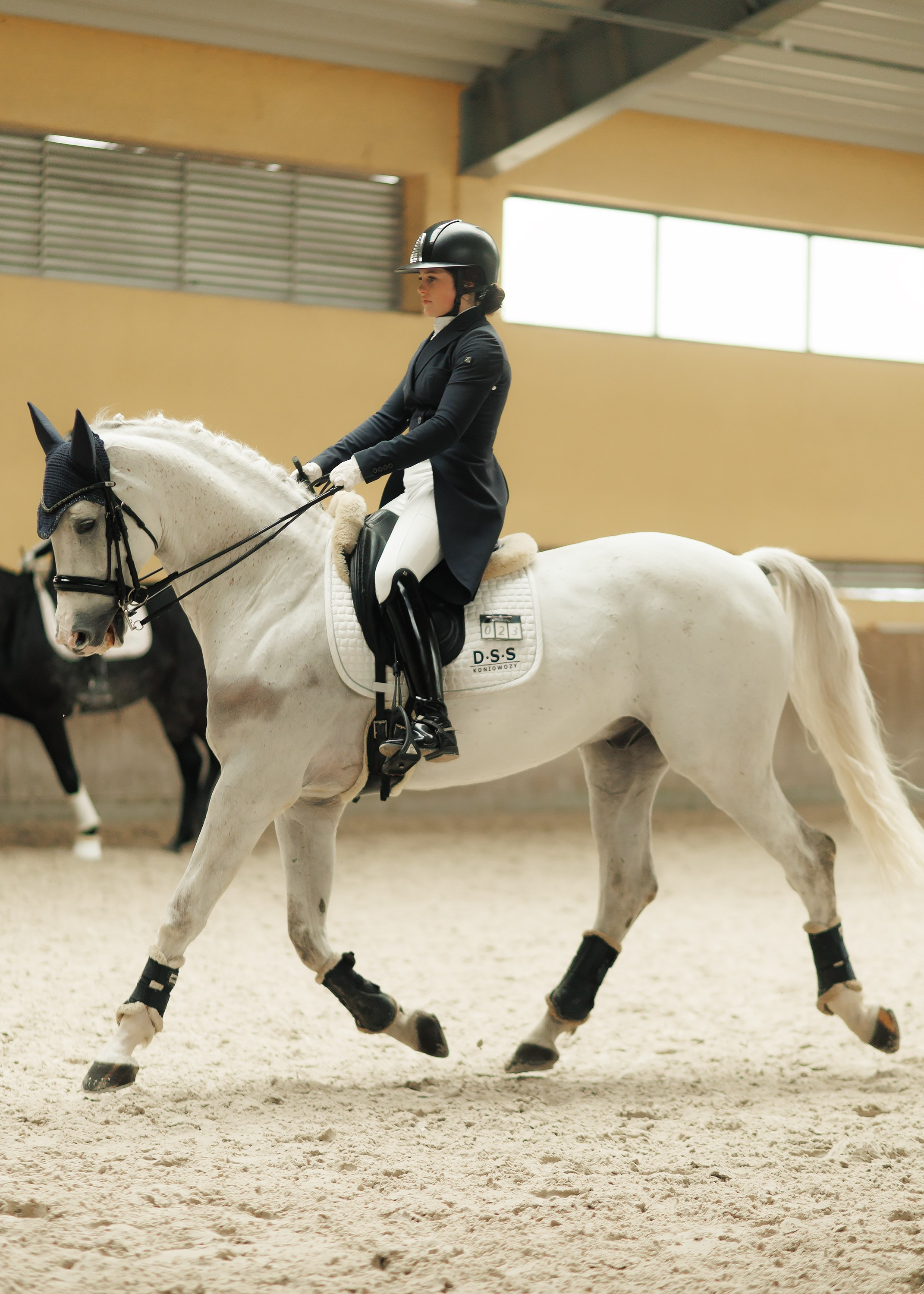 Fotografia koni Wrocław \ ujeżdżenie, Partynice. Kaja | fotograf we Wrocławiu | ludzie i psy