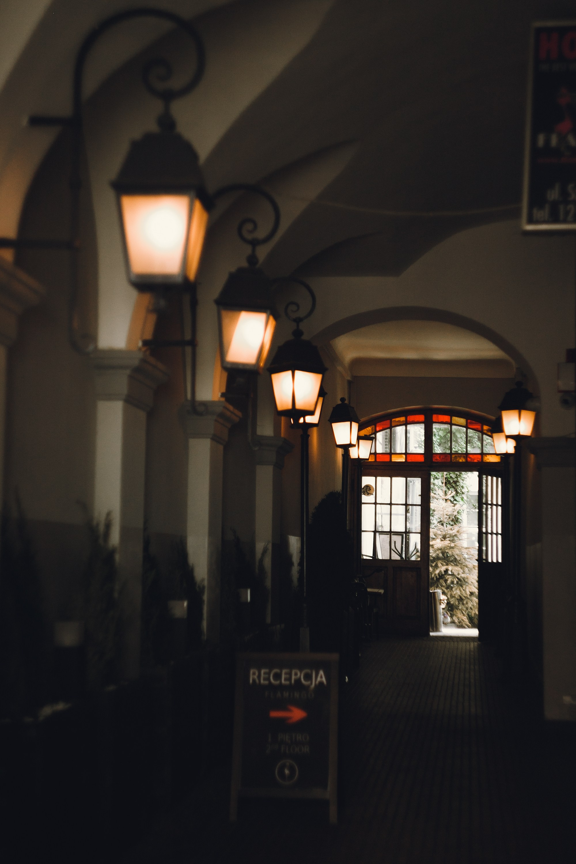 Krakow. Kaja | fotograf psów we Wrocławiu