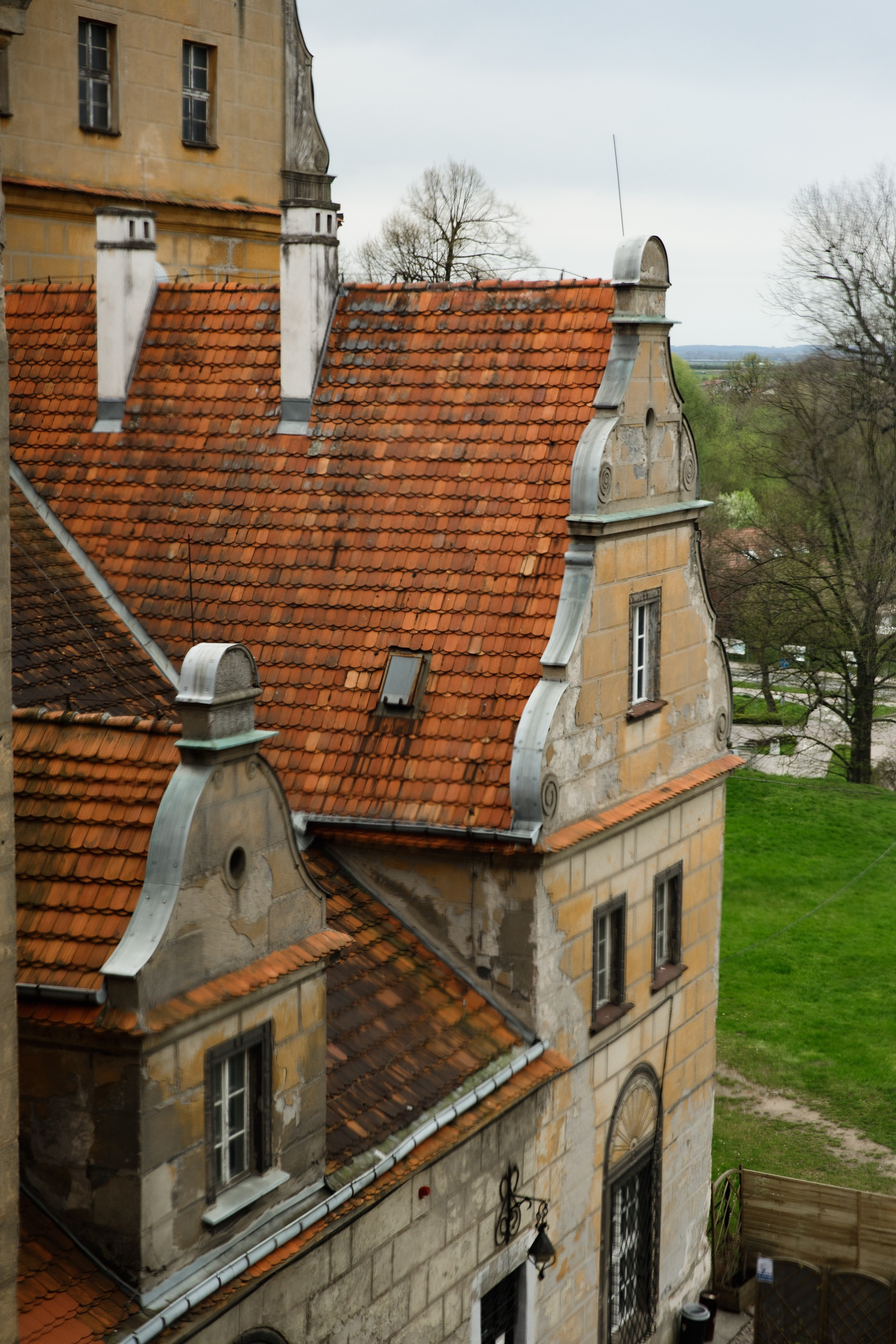 Oleśnica castle. Kaja | fotograf psów we Wrocławiu