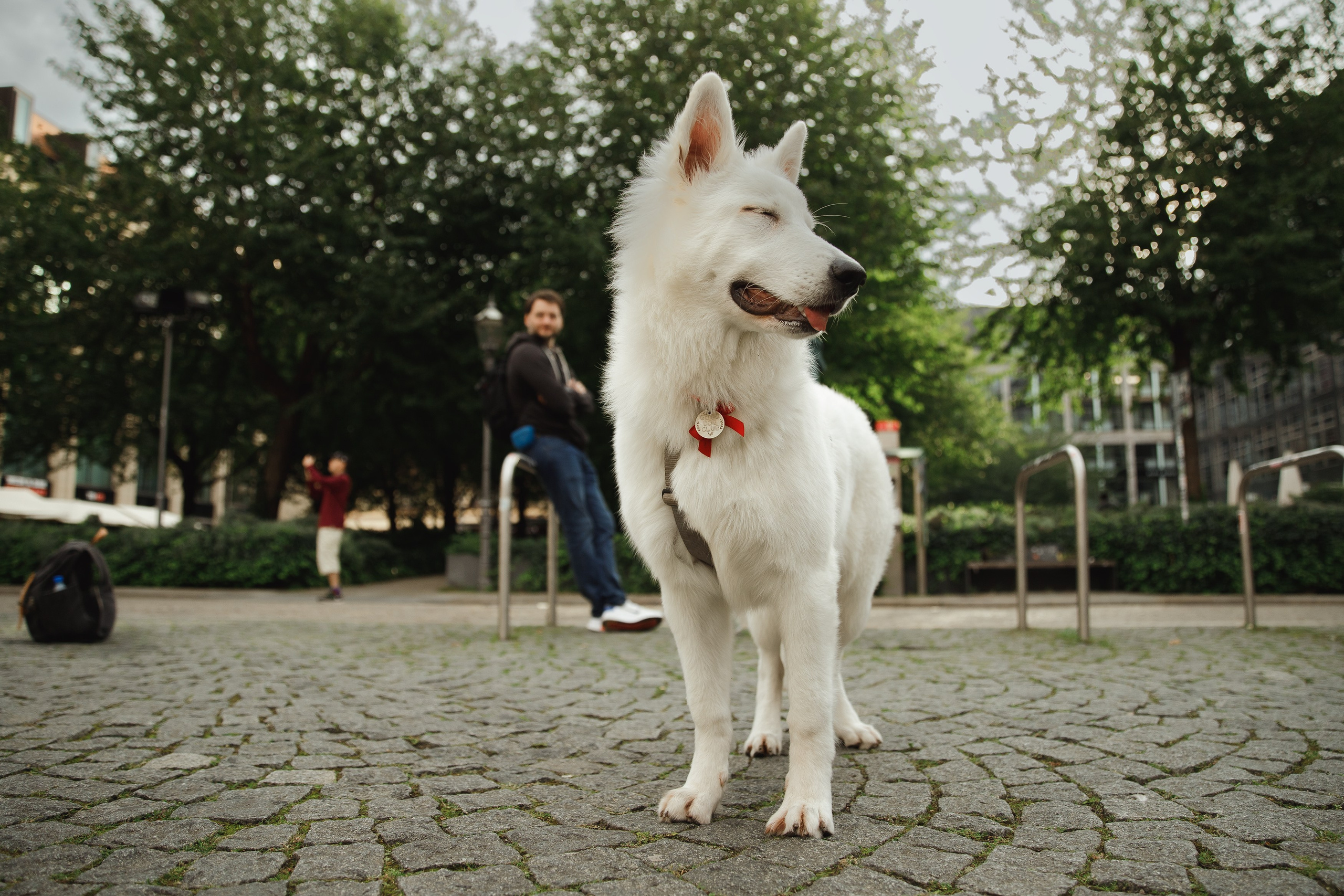 Astra in Leipzig. Kaja | fotograf we Wrocławiu | ludzie i psy