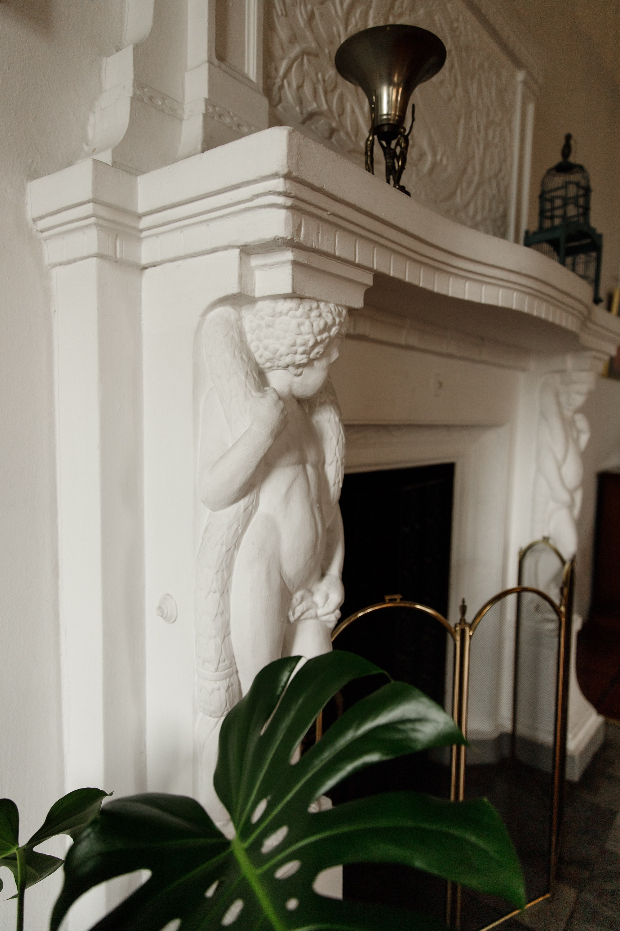 Oleśnica castle. Kaja | fotograf psów we Wrocławiu