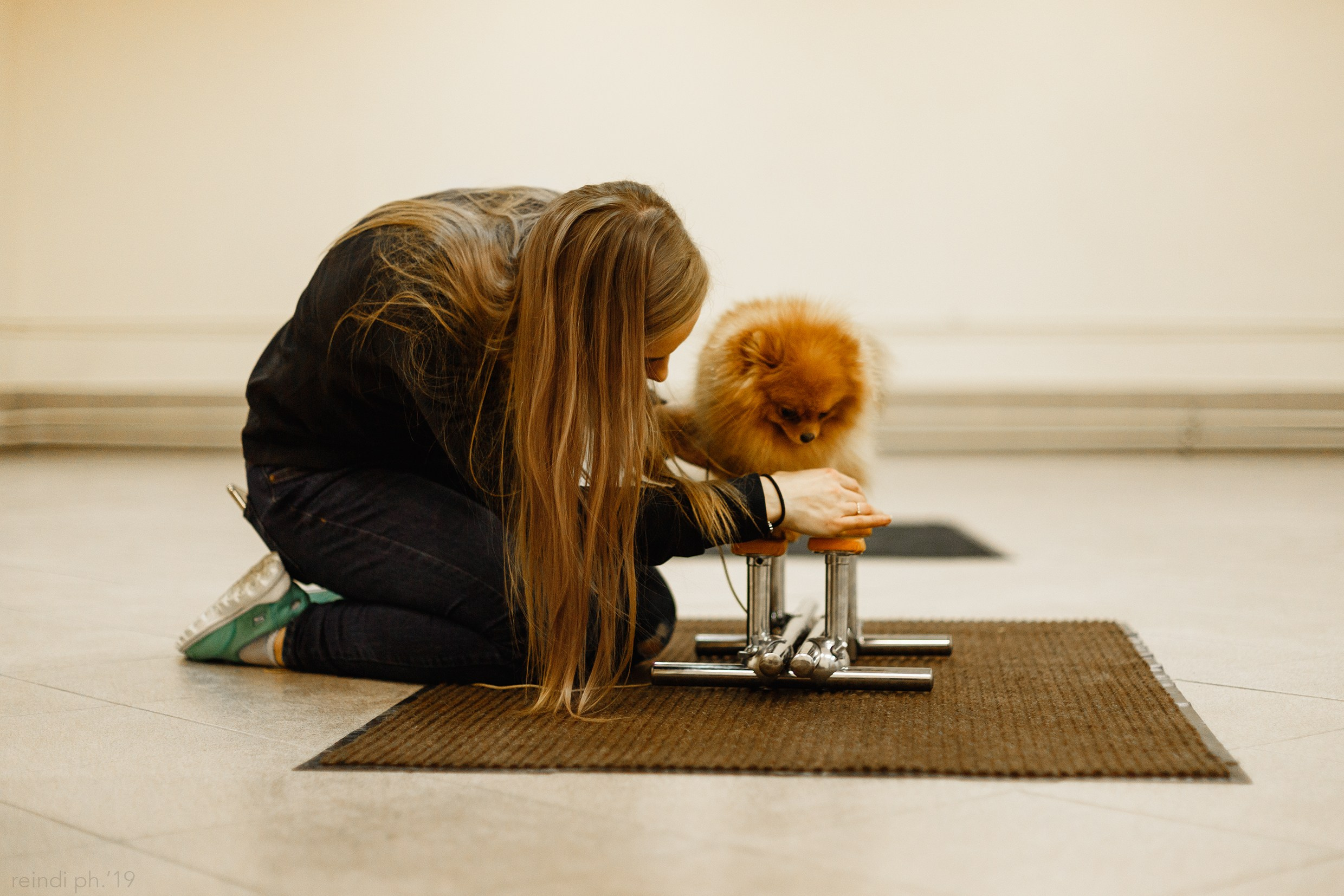 Dog handling hall. Kaja | fotograf we Wrocławiu | ludzie i psy