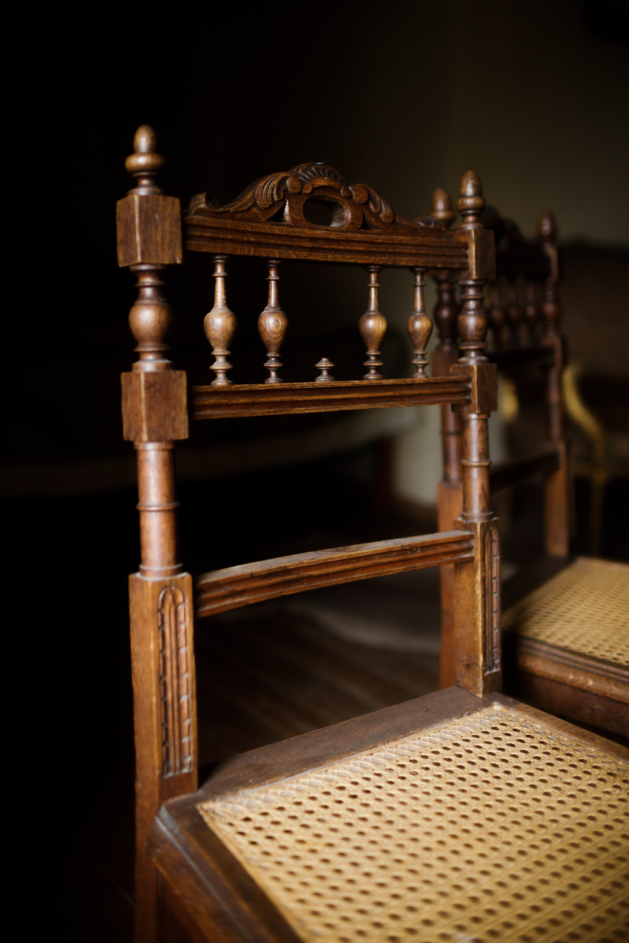 Zamek Grodziec. Kaja | fotograf psów we Wrocławiu