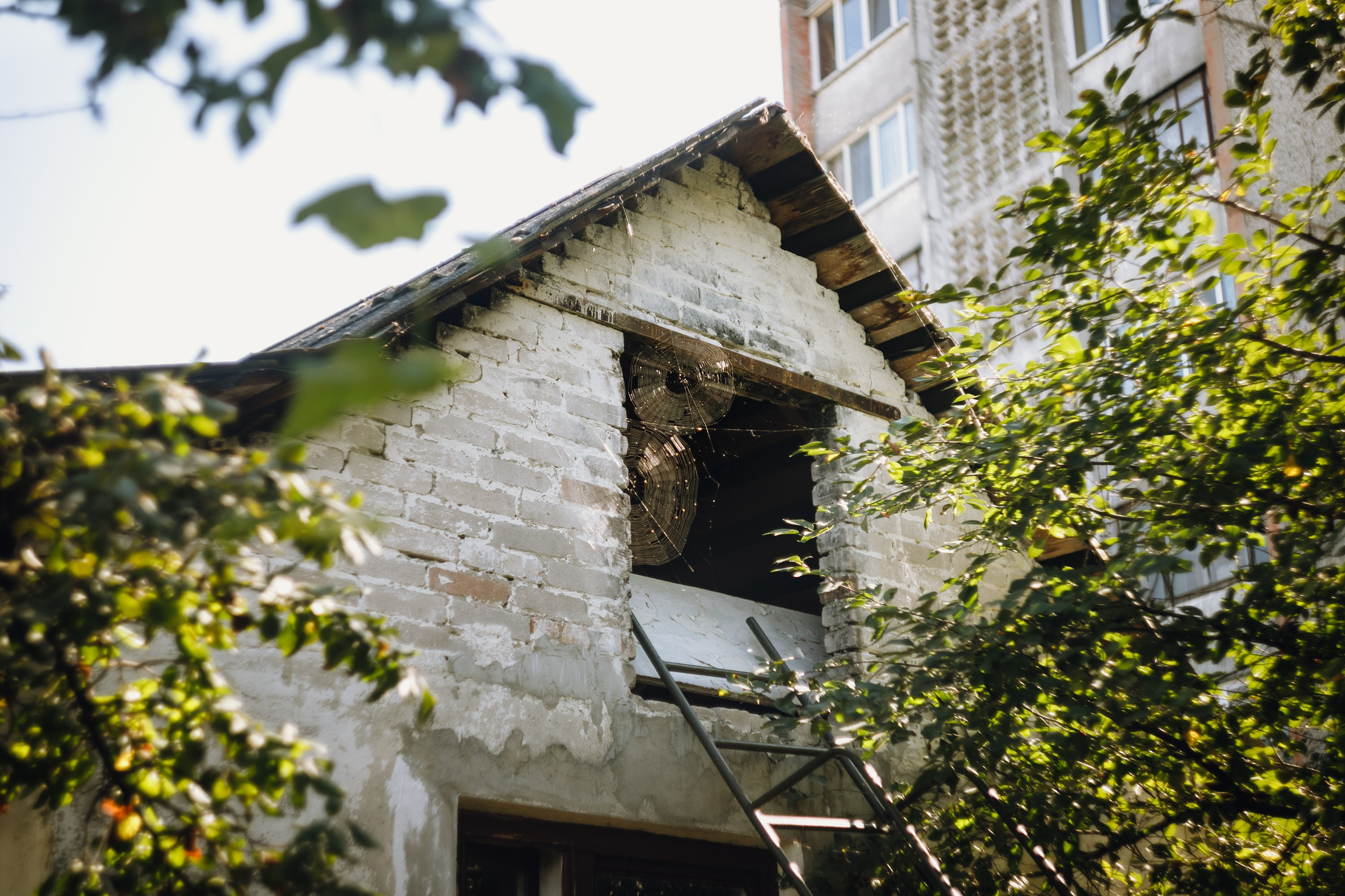 Grandmother's home in Brest. Kaja | fotograf we Wrocławiu | ludzie i psy