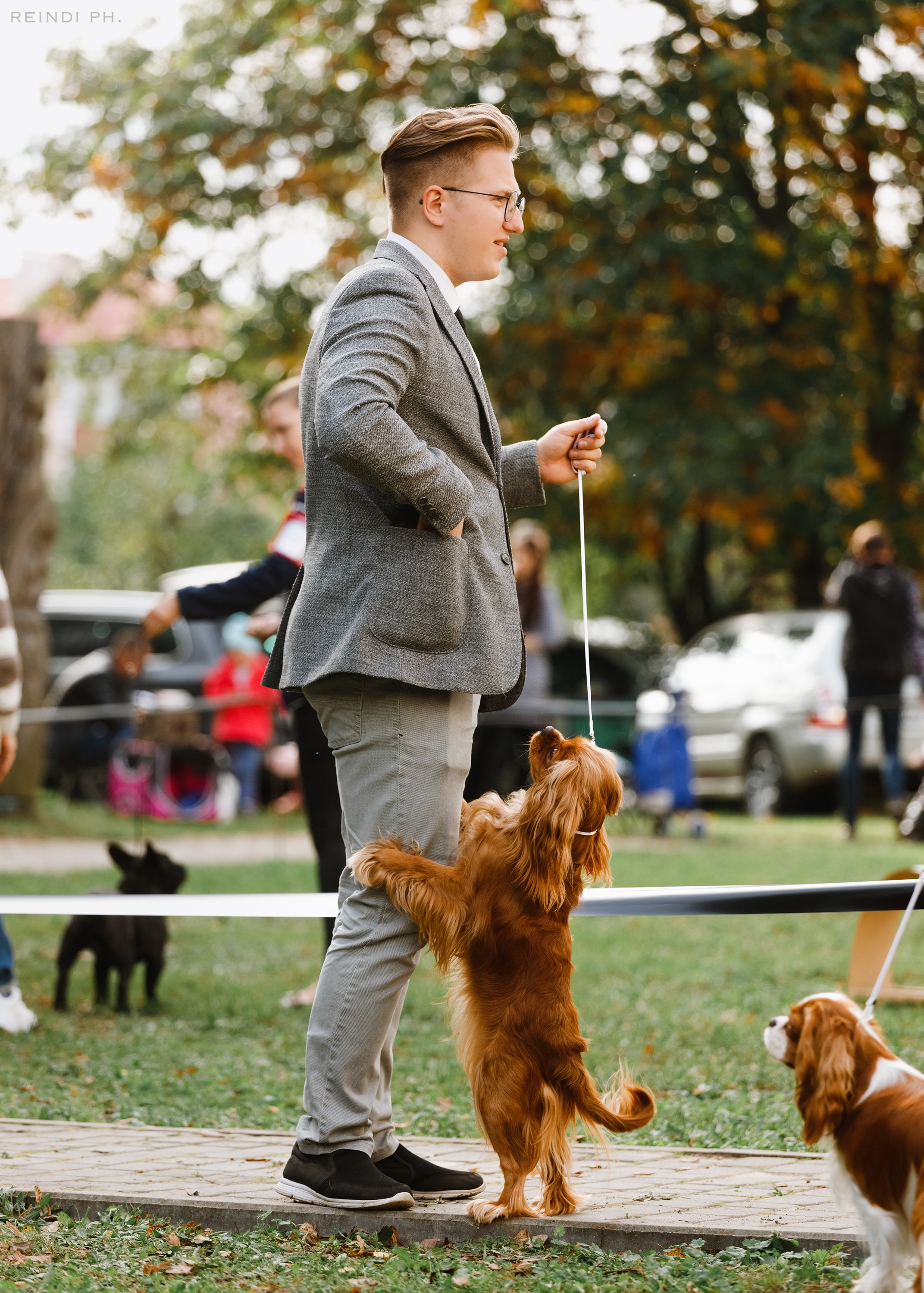 «Argus» dog show in Brest. Kaja | fotograf we Wrocławiu | ludzie i psy